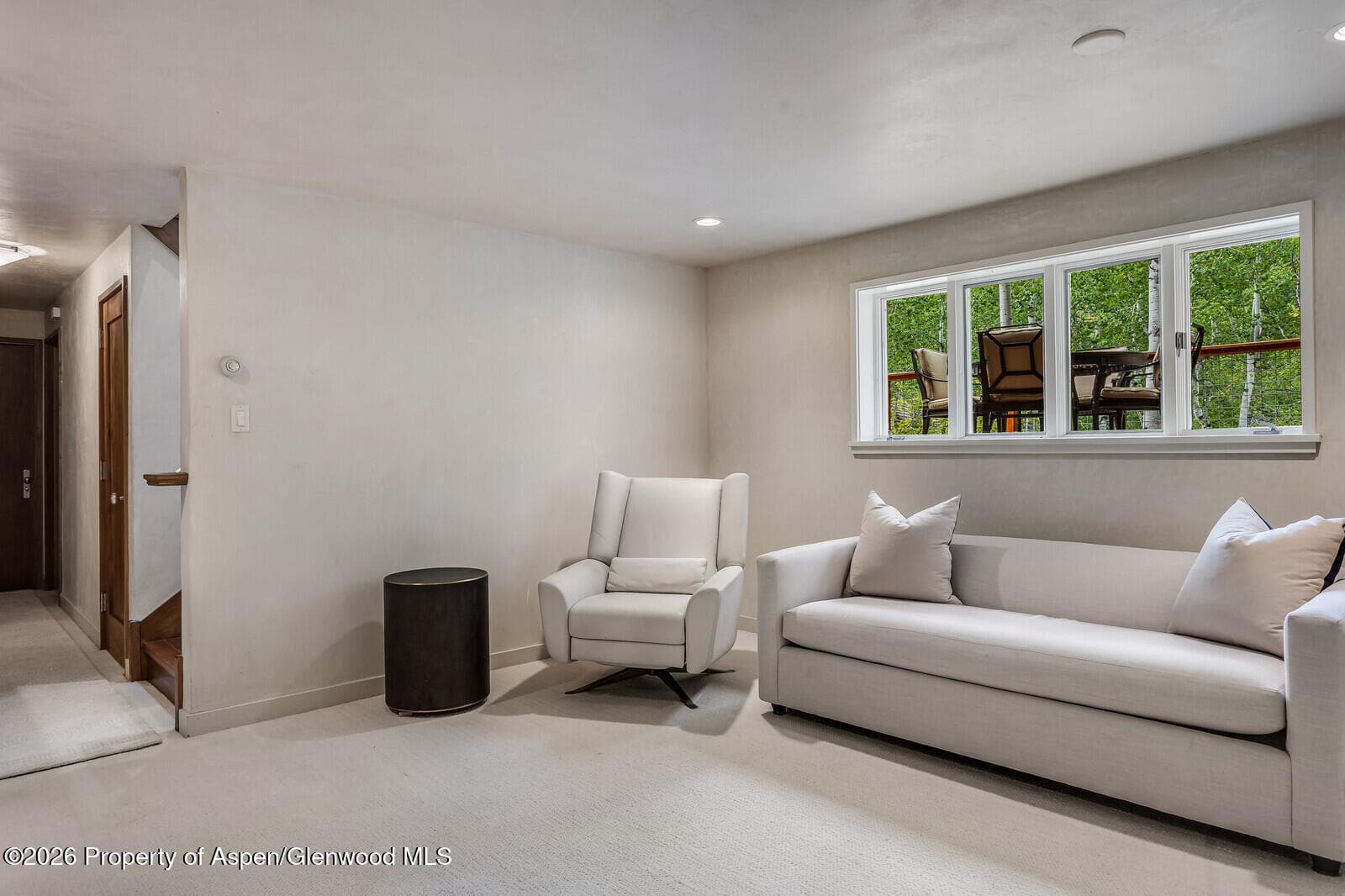 203 Eastwood Drive, Aspen, CO 81611 - Photo 21