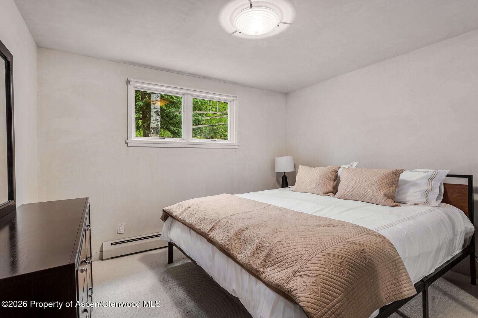 203 Eastwood Drive, Aspen, CO 81611 - Photo 23