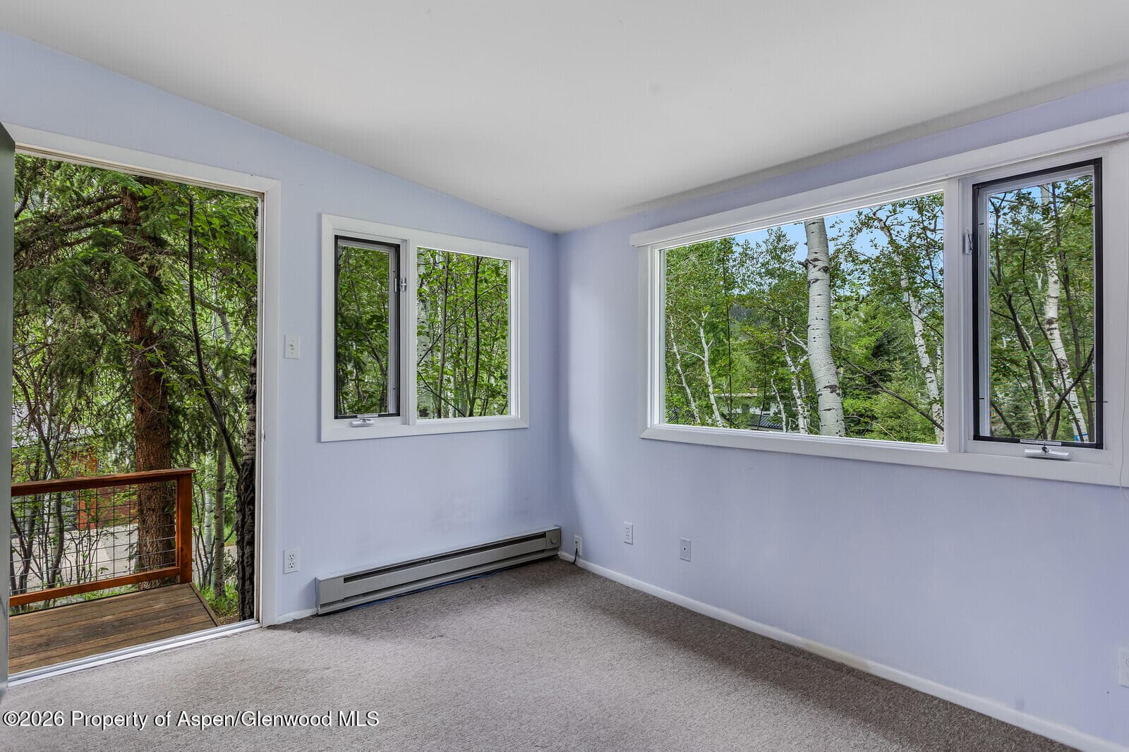 203 Eastwood Drive, Aspen, CO 81611 - Photo 25