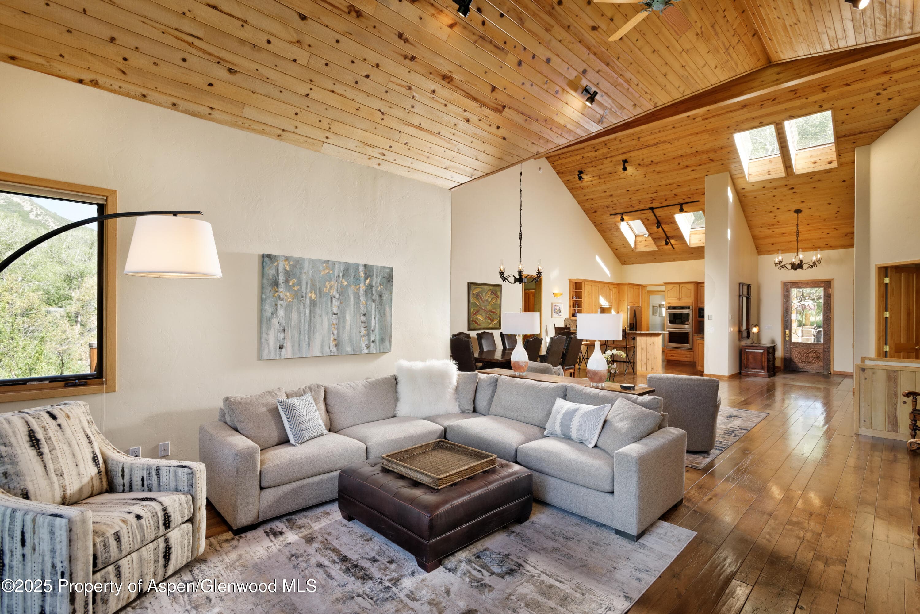 106 N Little Texas Lane, Woody Creek, CO 81656 - Photo 19