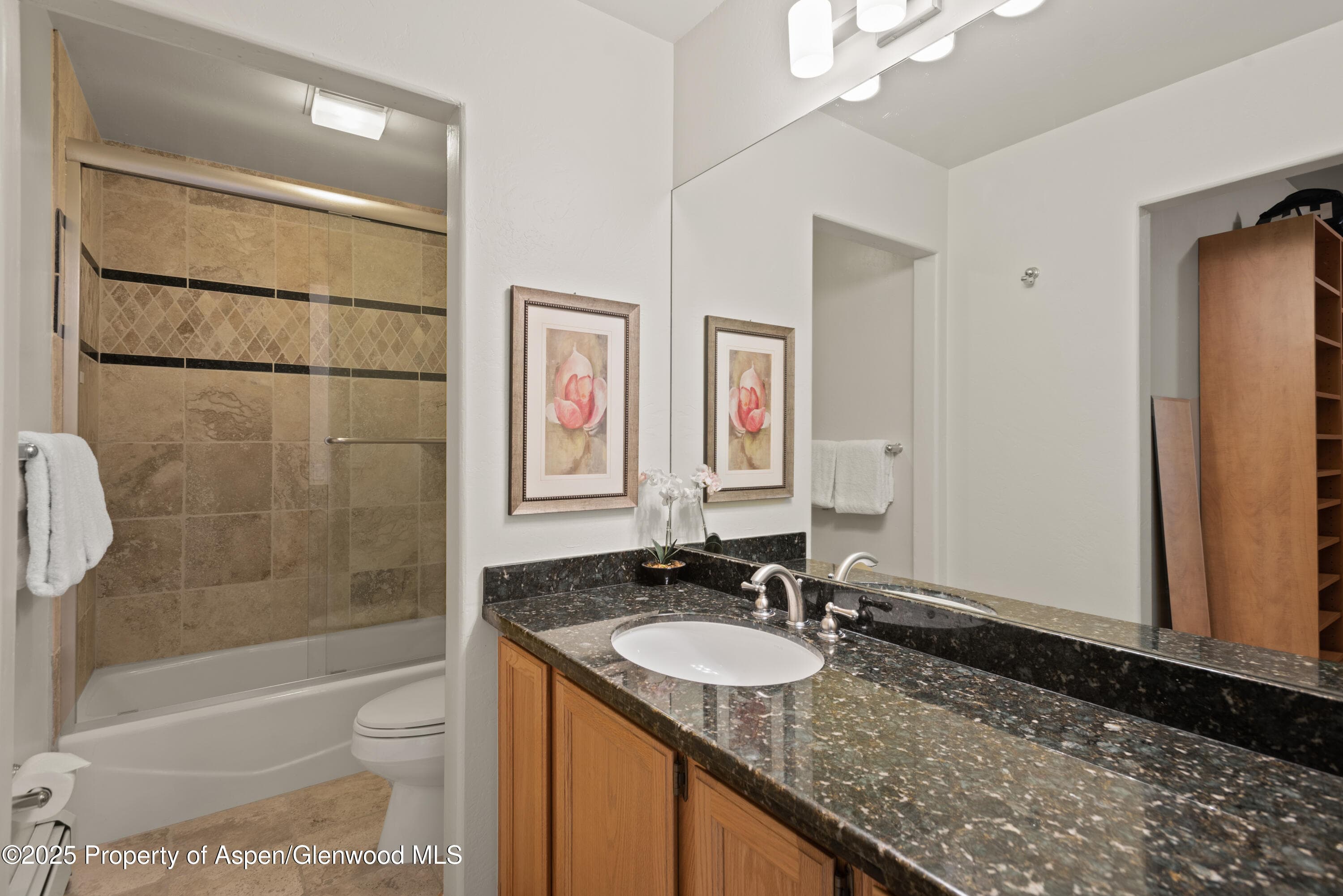 106 N Little Texas Lane, Woody Creek, CO 81656 - Photo 36
