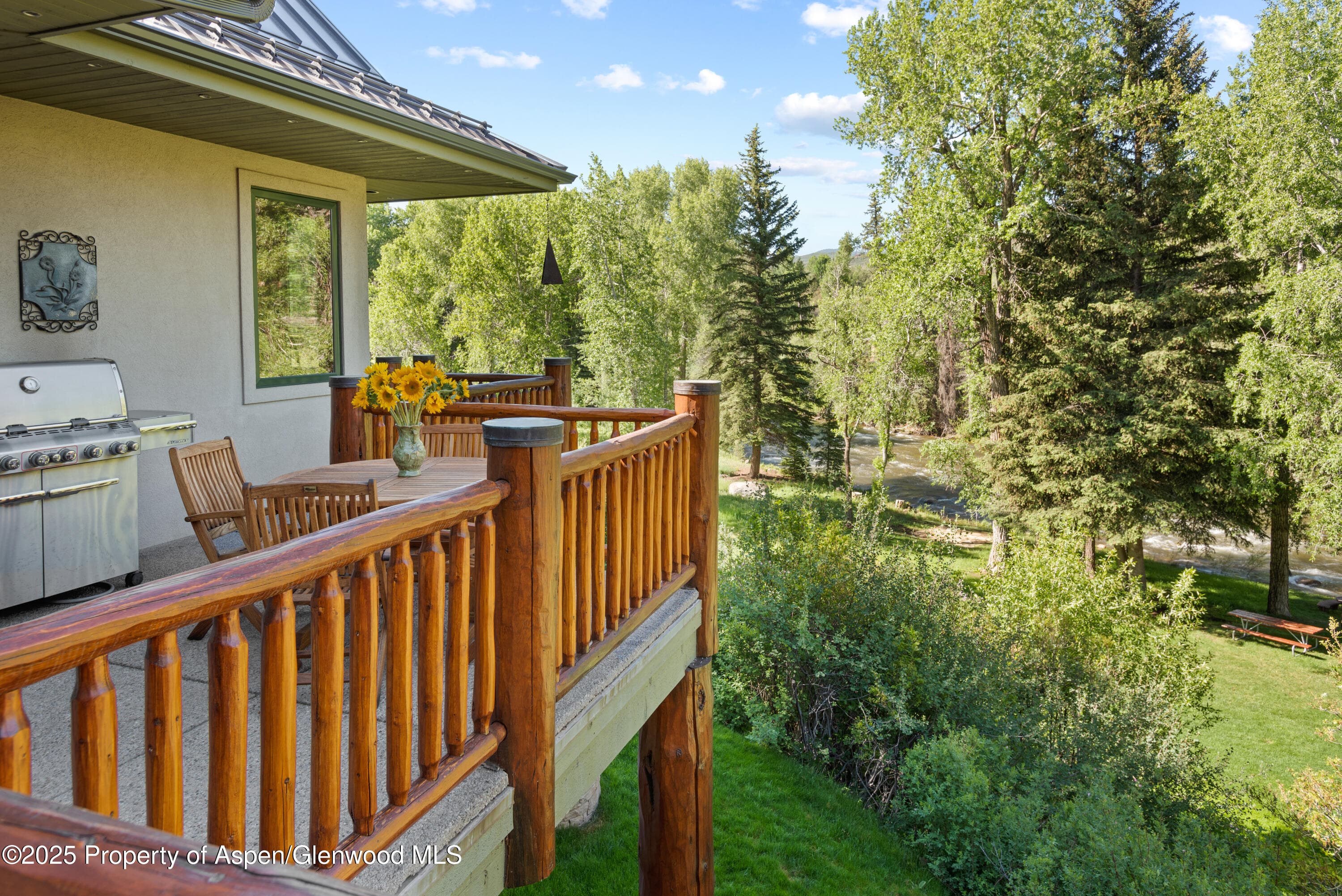 106 N Little Texas Lane, Woody Creek, CO 81656 - Photo 7