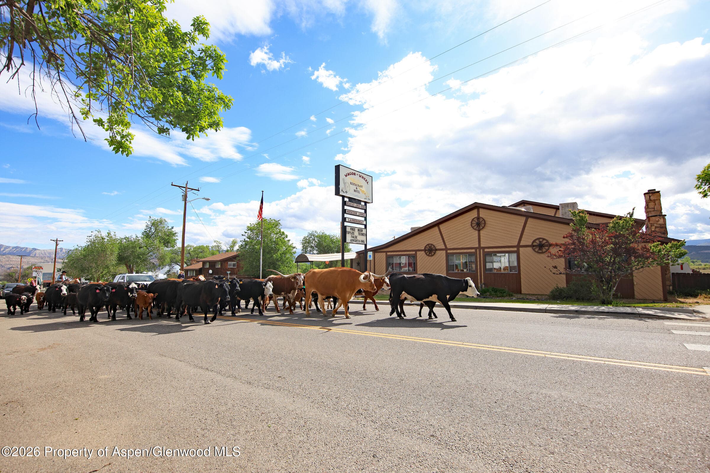 10900 Highway 65, Mesa, CO 81643 - Photo 45