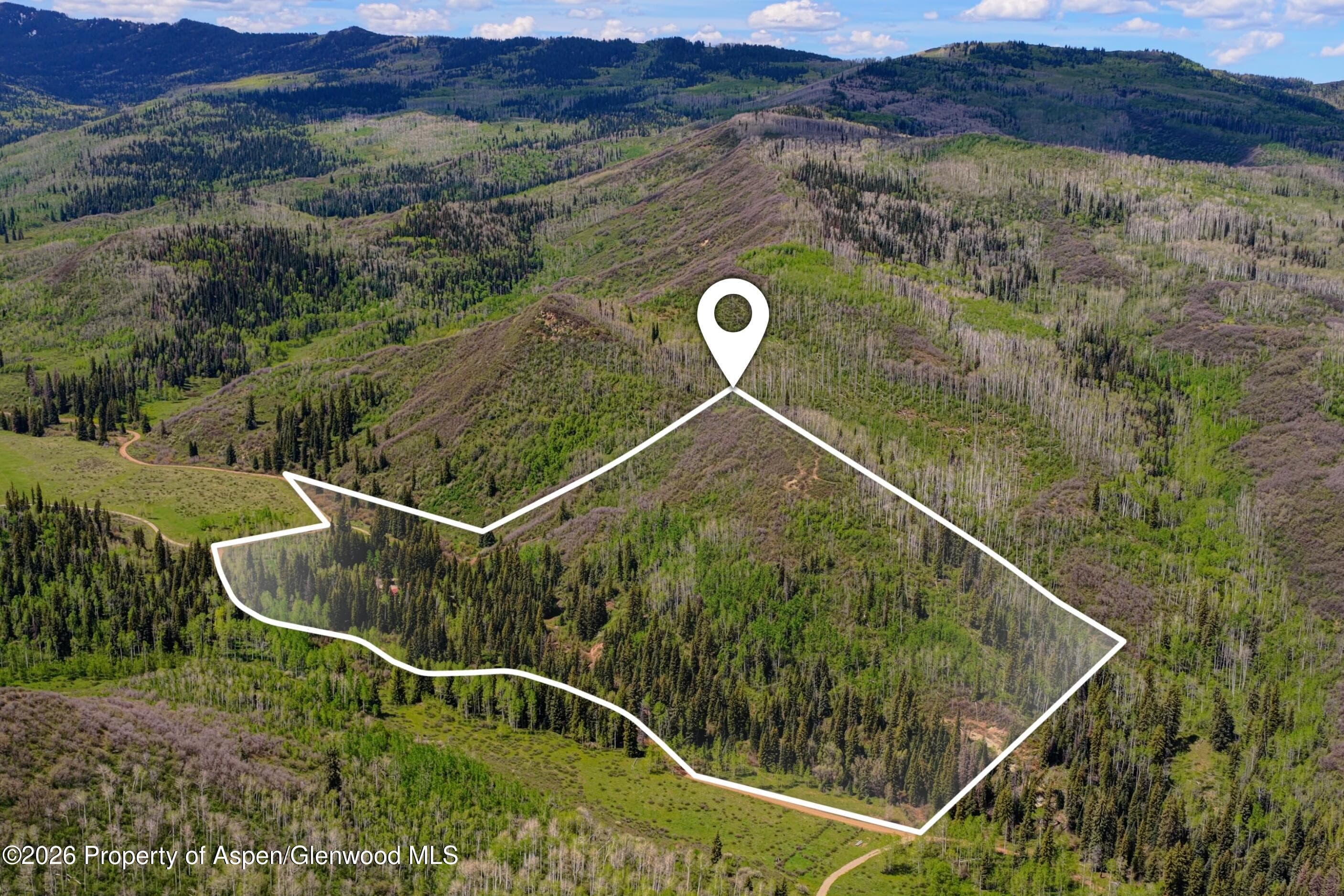 12123 Co Rd 313, New Castle, CO 81647 - Photo 5