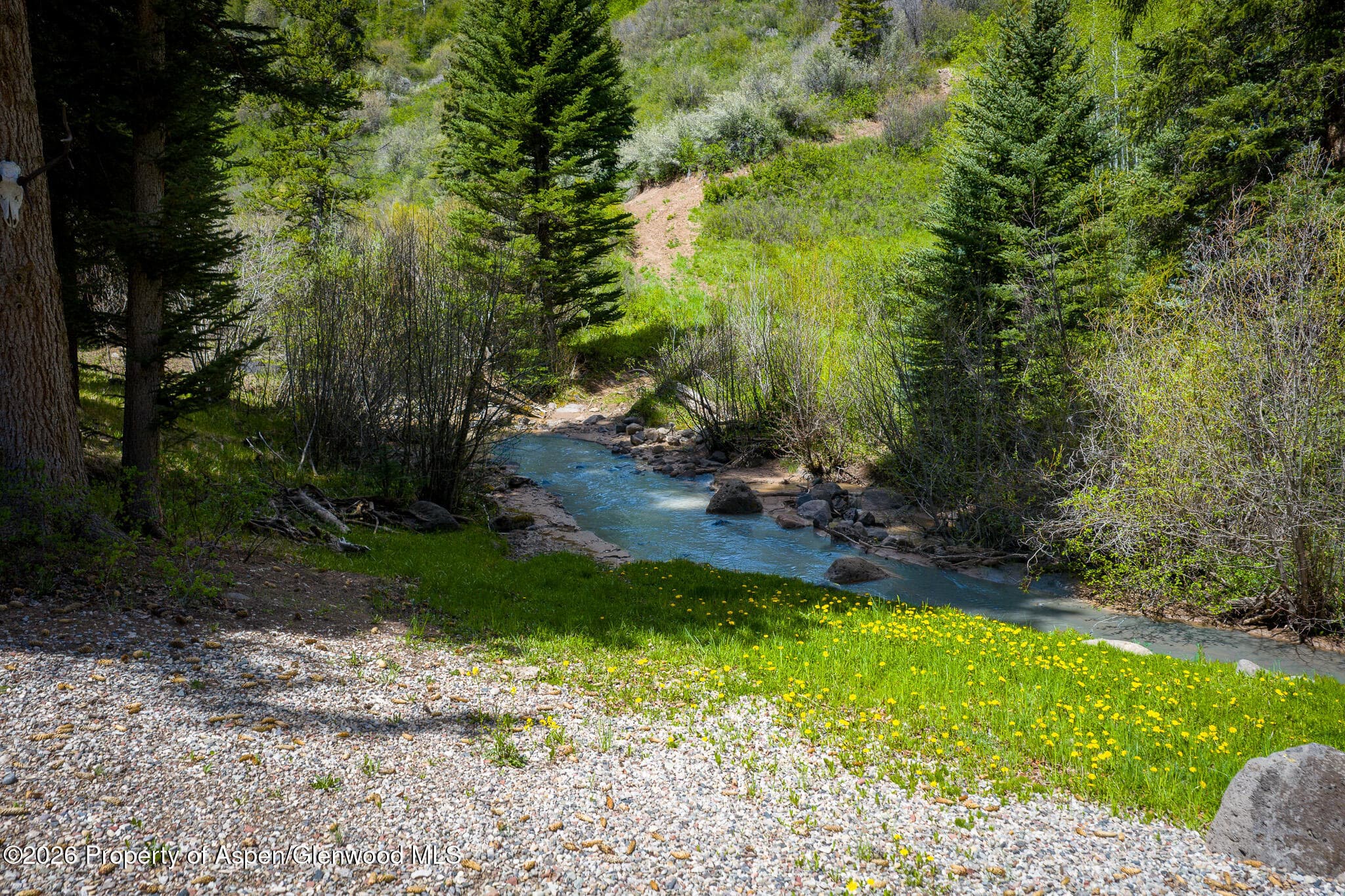 12123 Co Rd 313, New Castle, CO 81647 - Photo 8