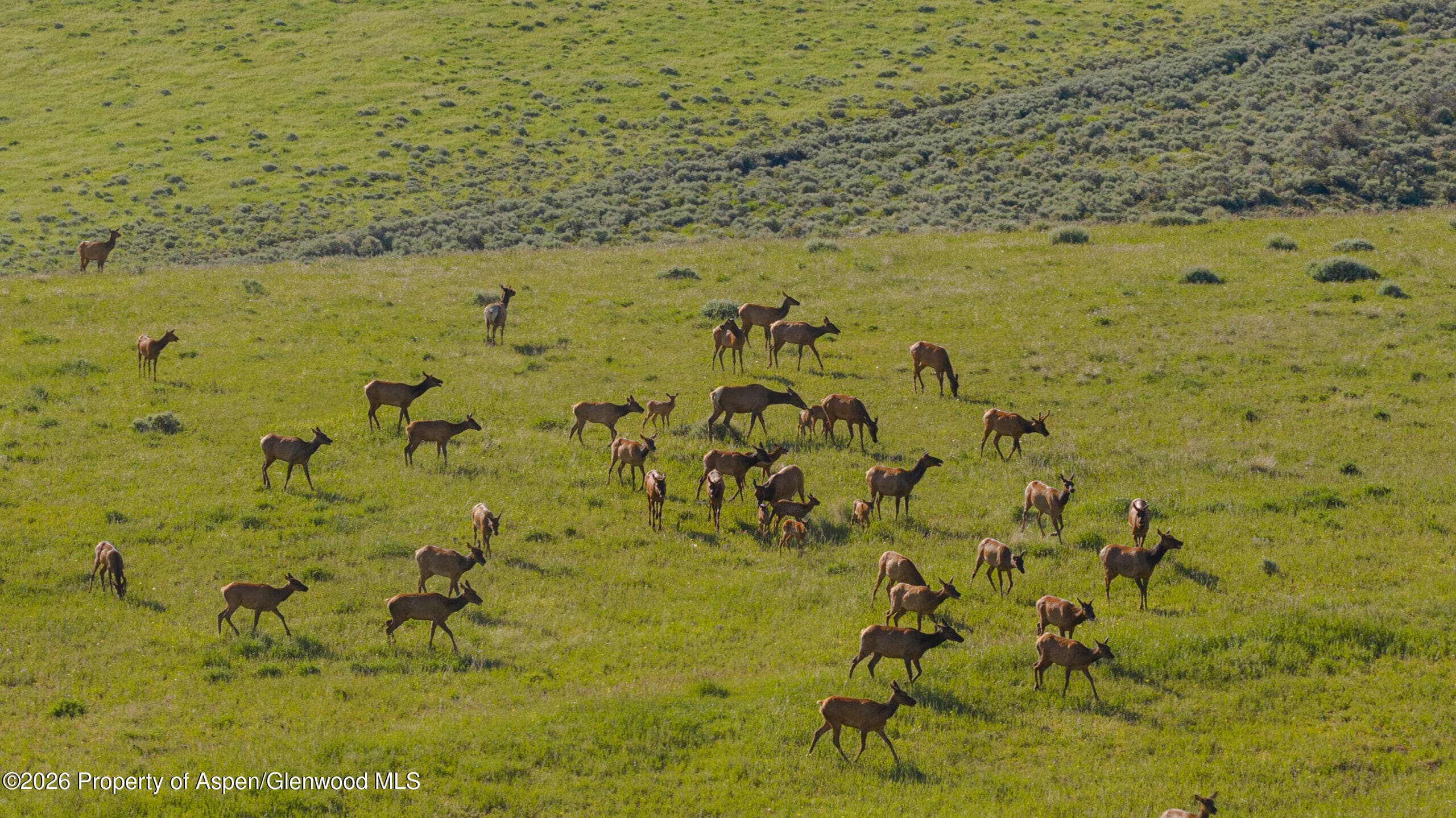Tbd County Road 57, Hayden, CO 81639 - Photo 4