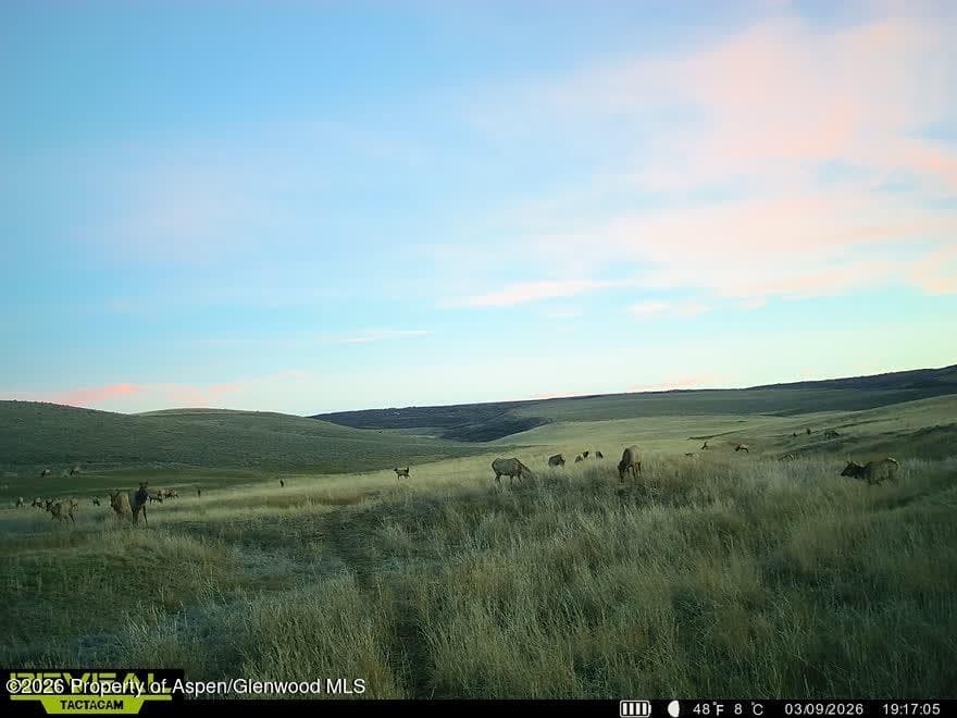 Tbd County Road 57, Hayden, CO 81639 - Photo 11