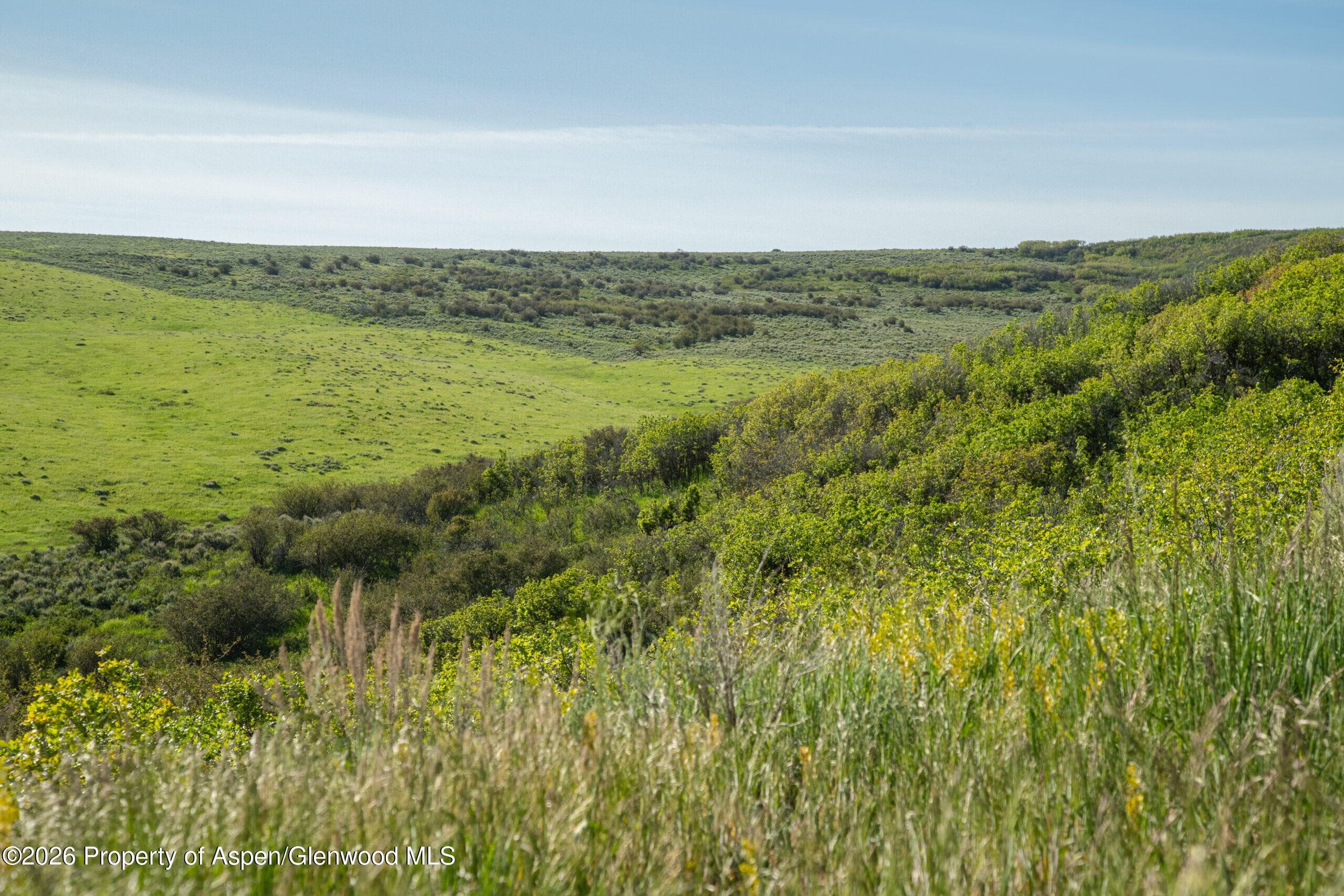 Tbd County Road 57, Hayden, CO 81639 - Photo 13