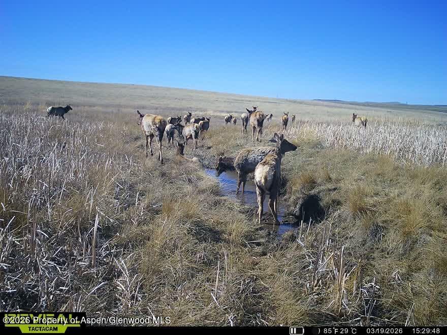 Tbd County Road 57, Hayden, CO 81639 - Photo 15