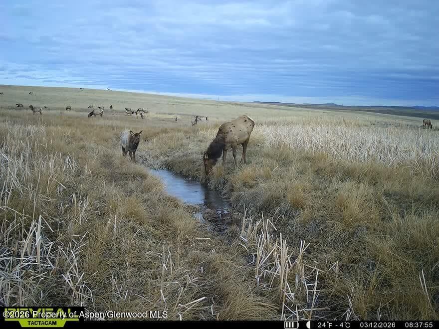 Tbd County Road 57, Hayden, CO 81639 - Photo 20