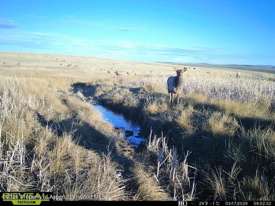 Tbd County Road 57, Hayden, CO 81639 - Photo 21