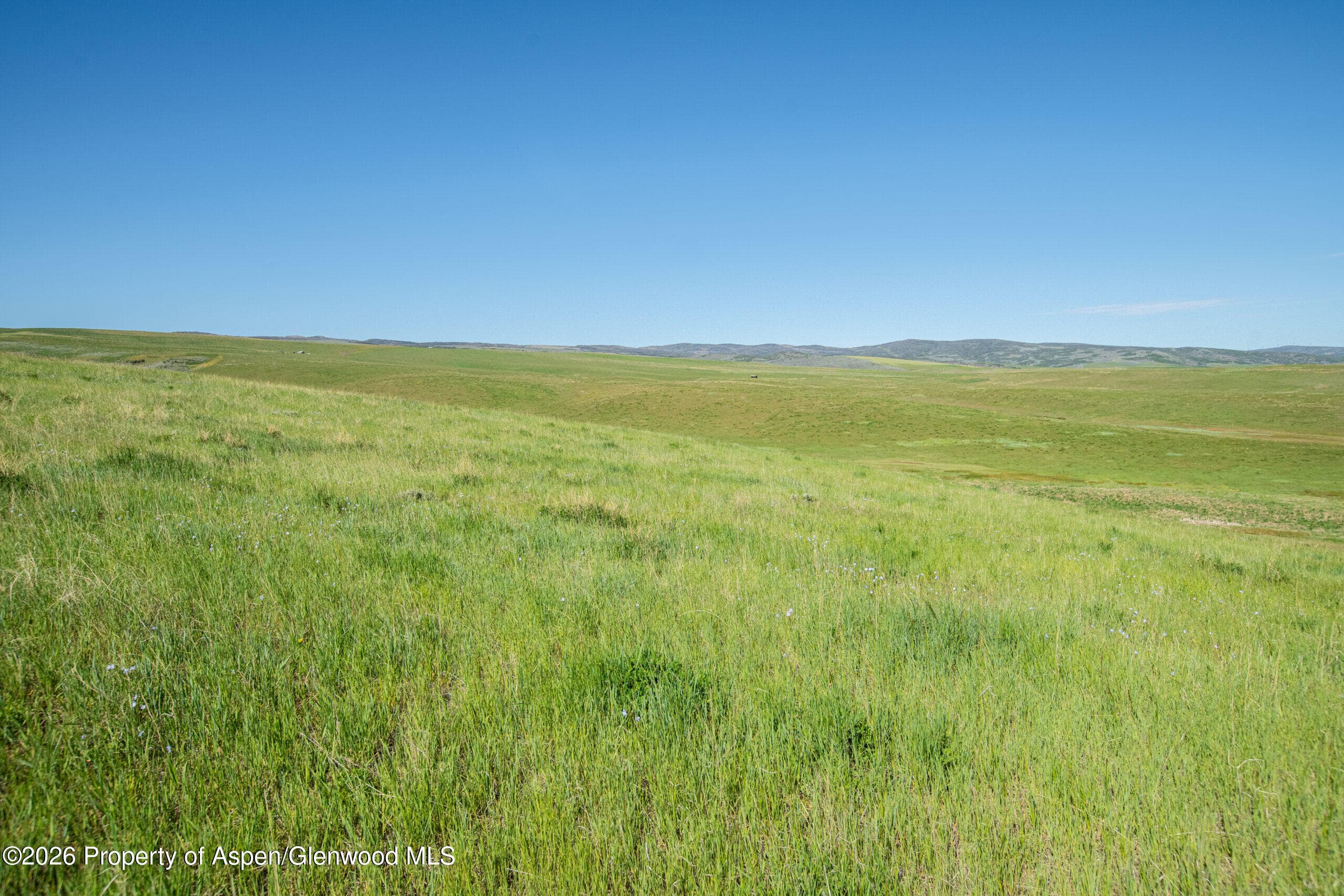 Tbd County Road 57, Hayden, CO 81639 - Photo 24