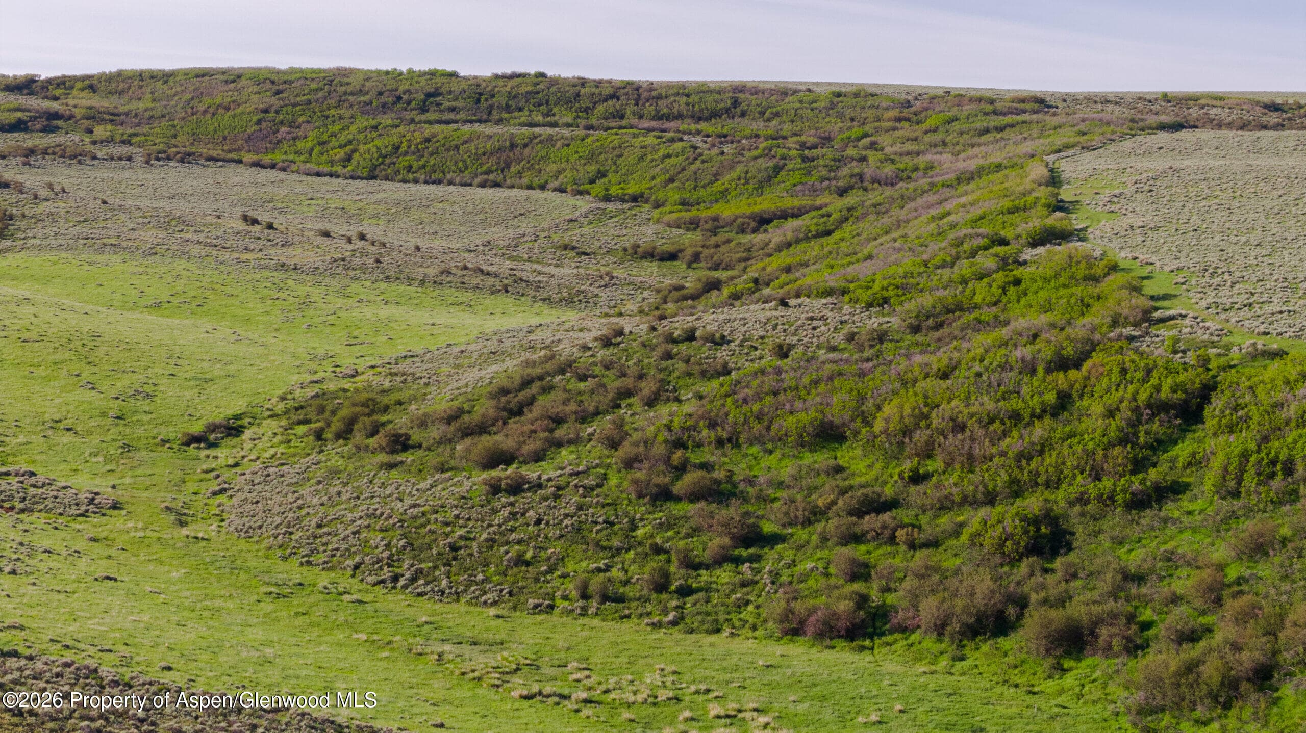 Tbd County Road 57, Hayden, CO 81639 - Photo 25