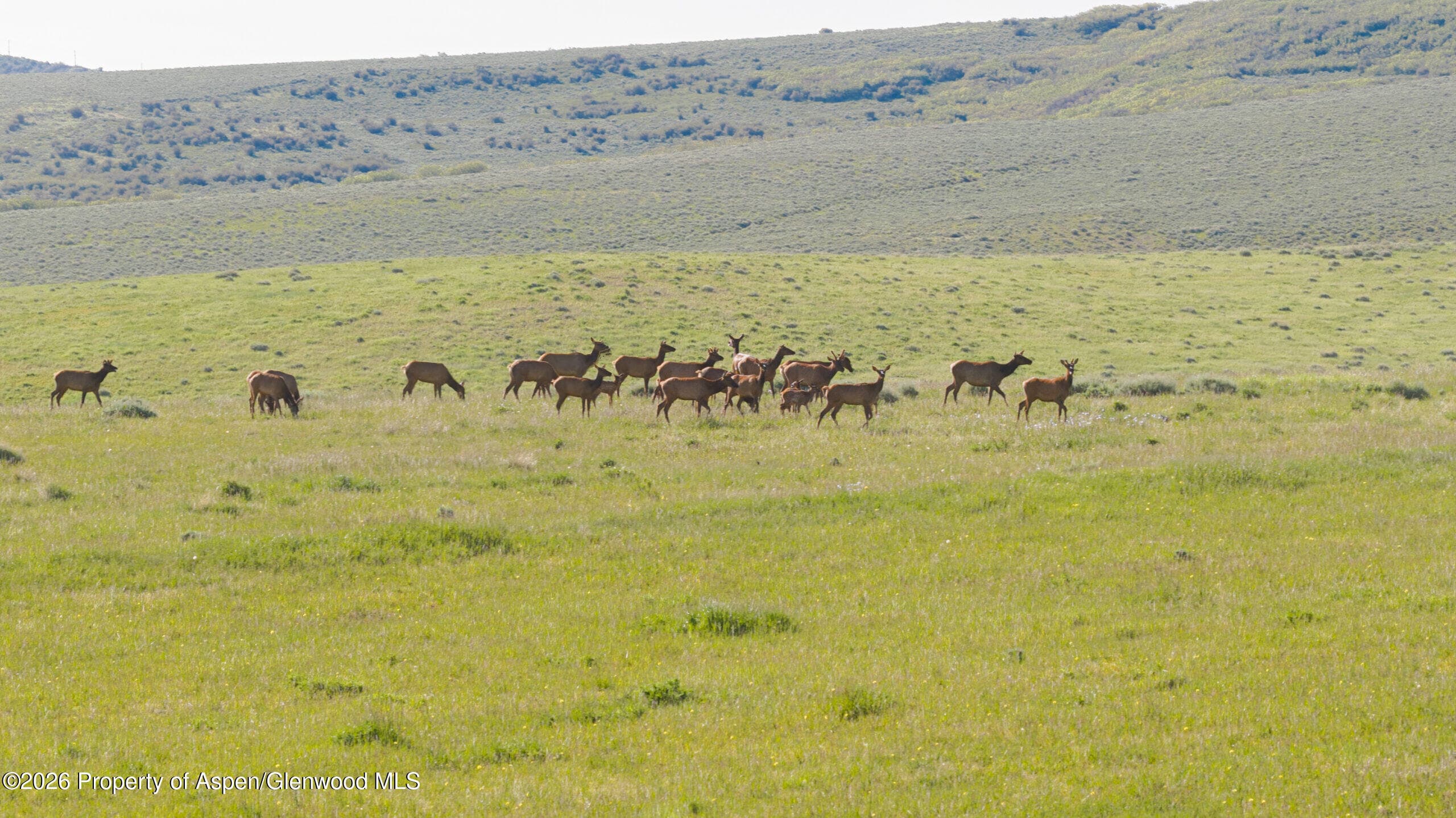Tbd County Road 57, Hayden, CO 81639 - Photo 32