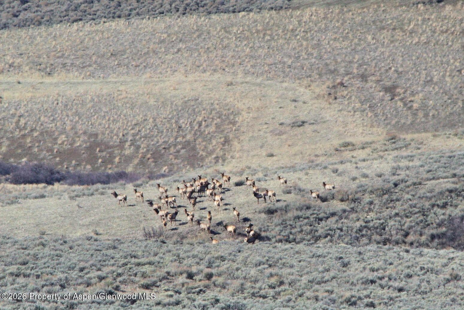 Tbd County Road 57, Hayden, CO 81639 - Photo 35