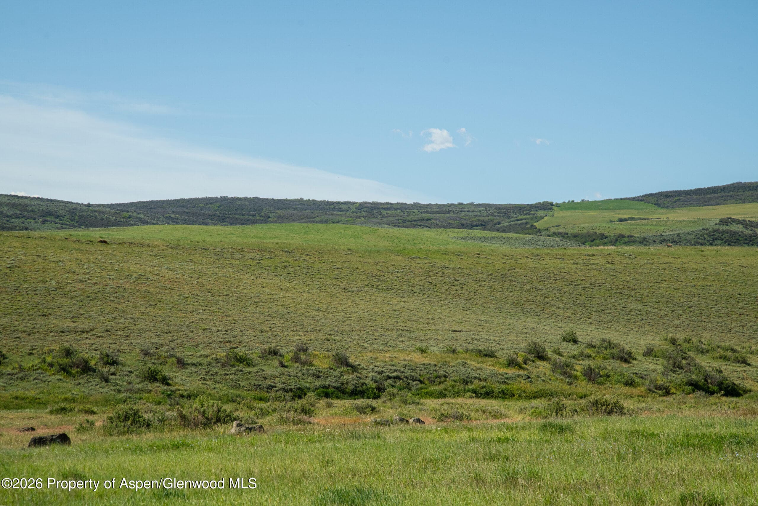 Tbd County Road 57, Hayden, CO 81639 - Photo 43