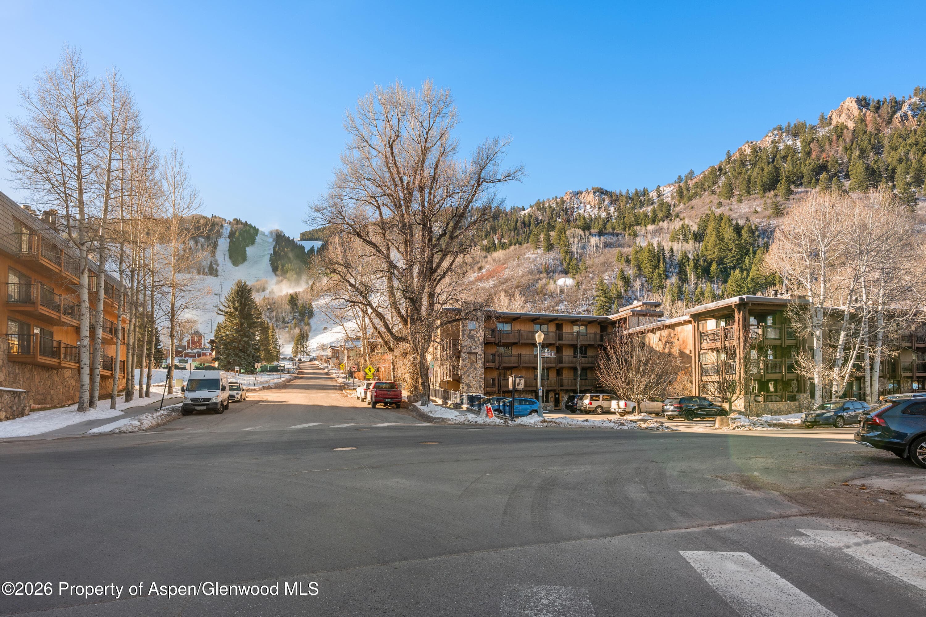 131 E Durant Avenue 104, Aspen, CO 81611 - Photo 11