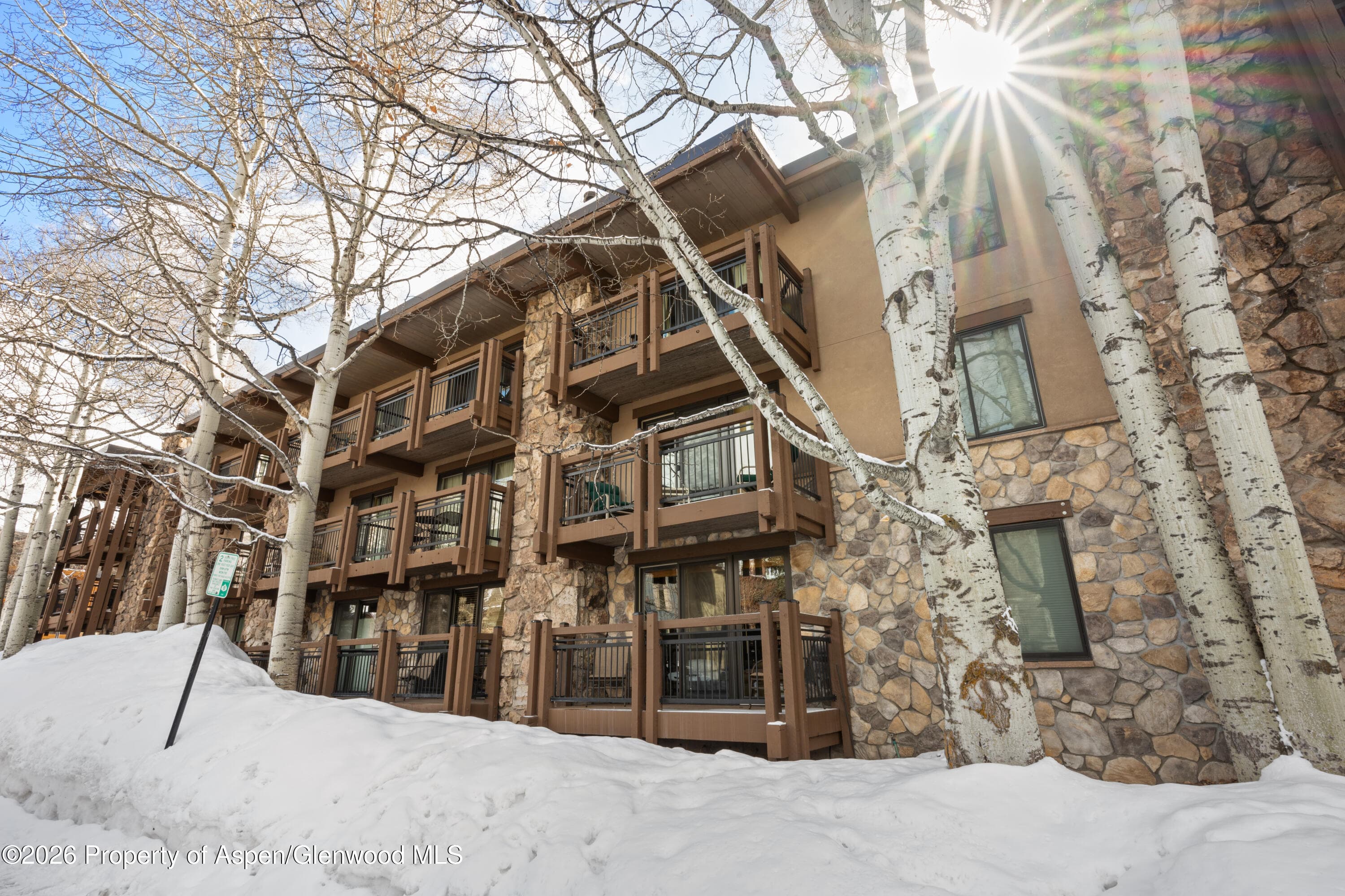 131 E Durant Avenue 104, Aspen, CO 81611 - Photo 12