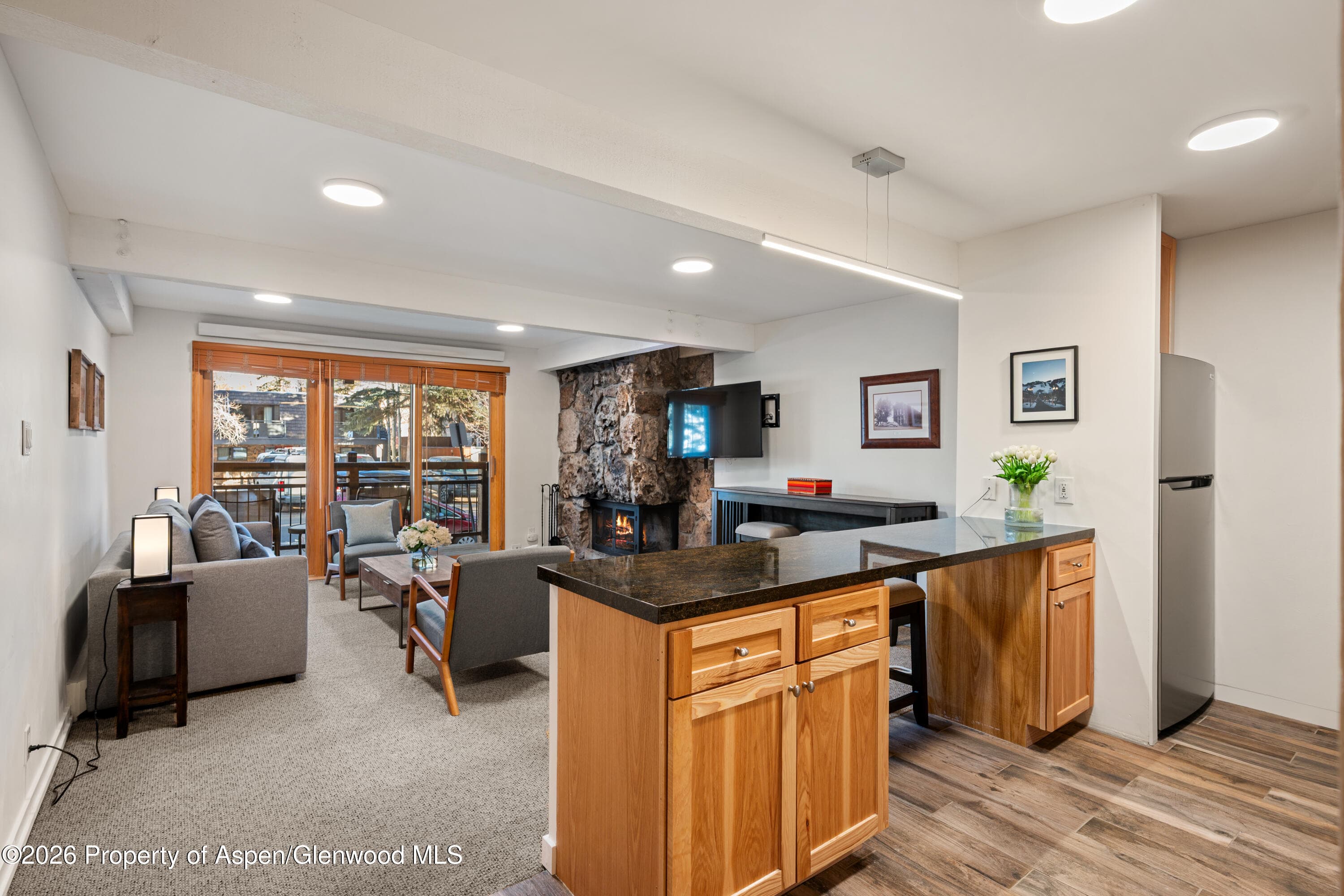 131 E Durant Avenue 104, Aspen, CO 81611 - Photo 3