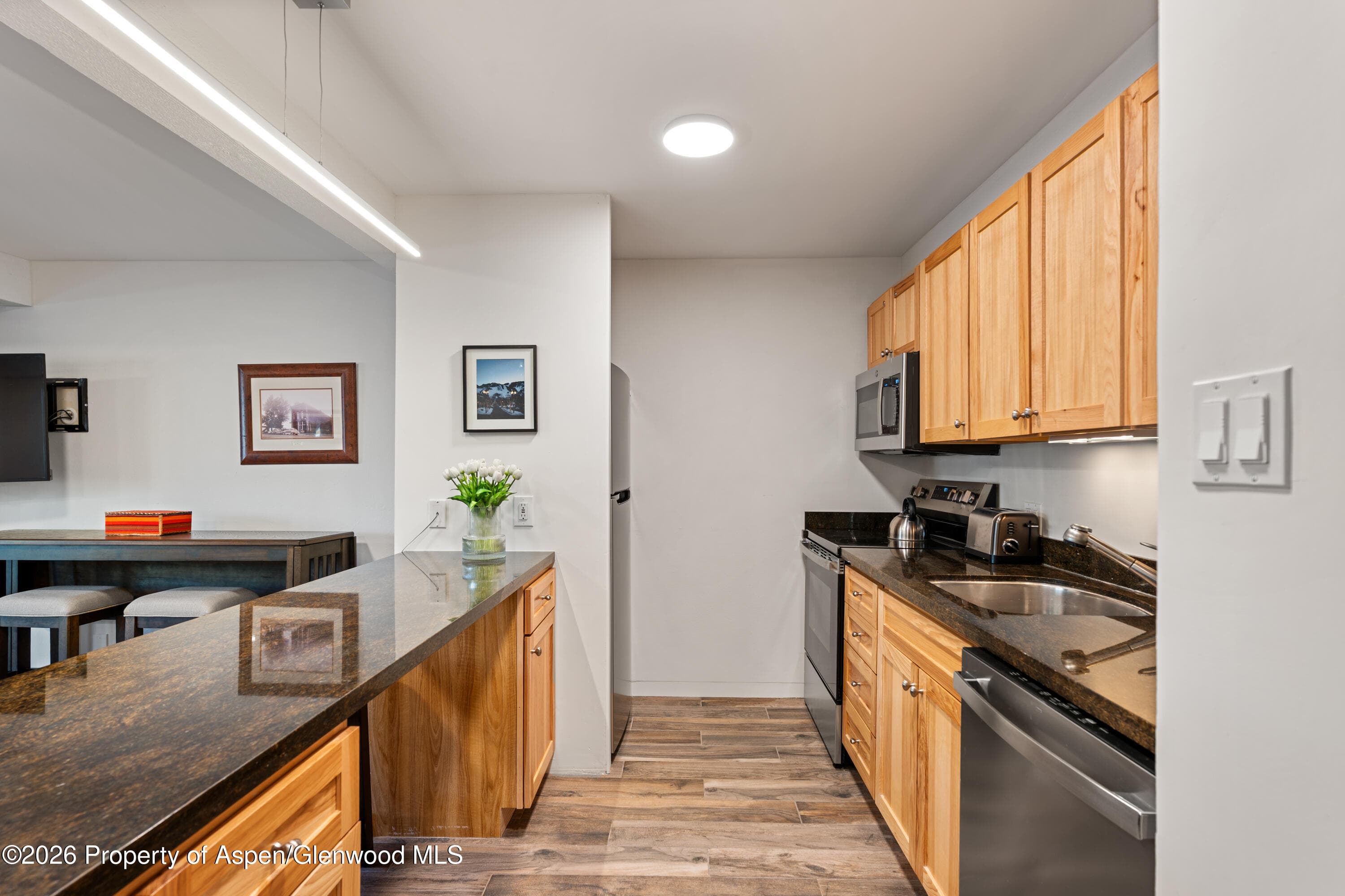 131 E Durant Avenue 104, Aspen, CO 81611 - Photo 5