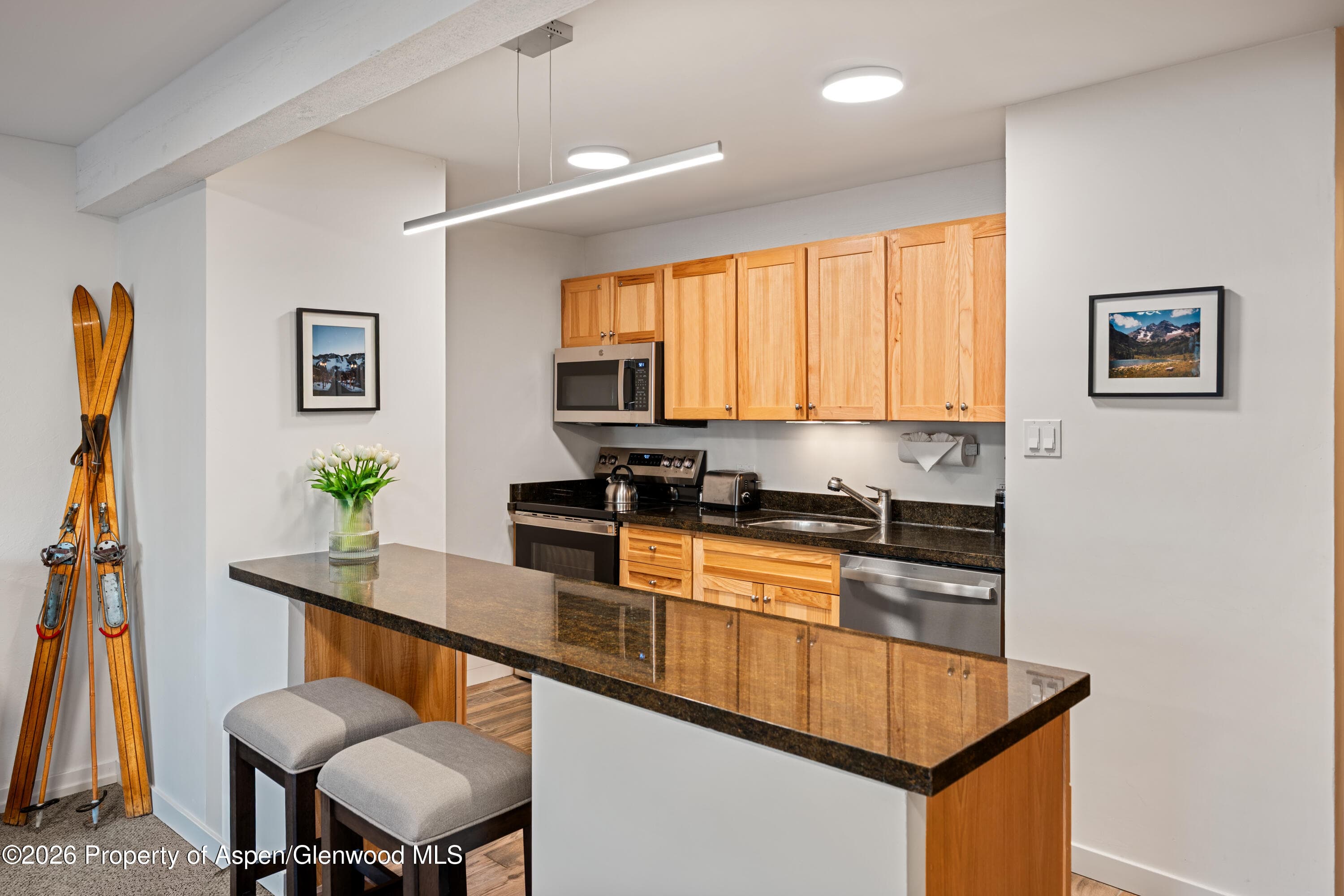 131 E Durant Avenue 104, Aspen, CO 81611 - Photo 4