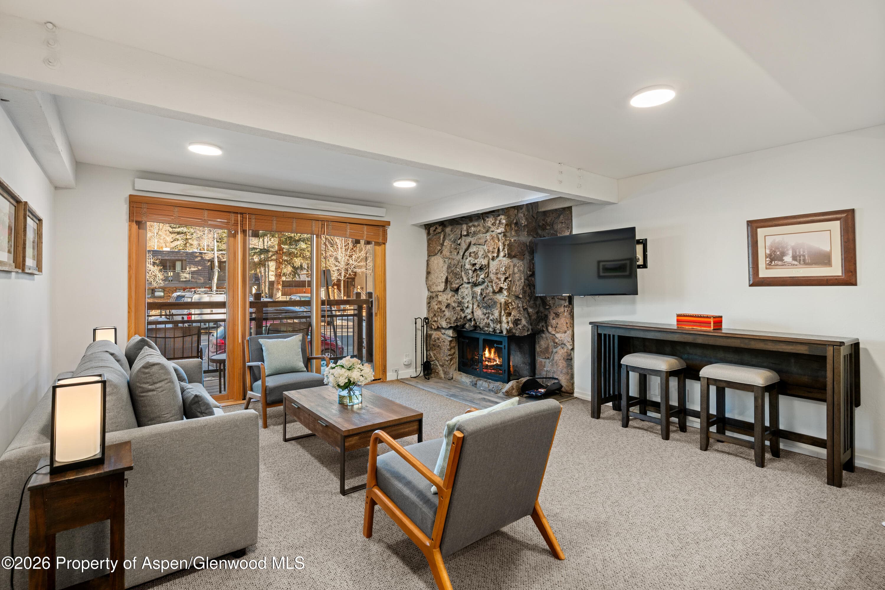 131 E Durant Avenue 104, Aspen, CO 81611 - Photo 2