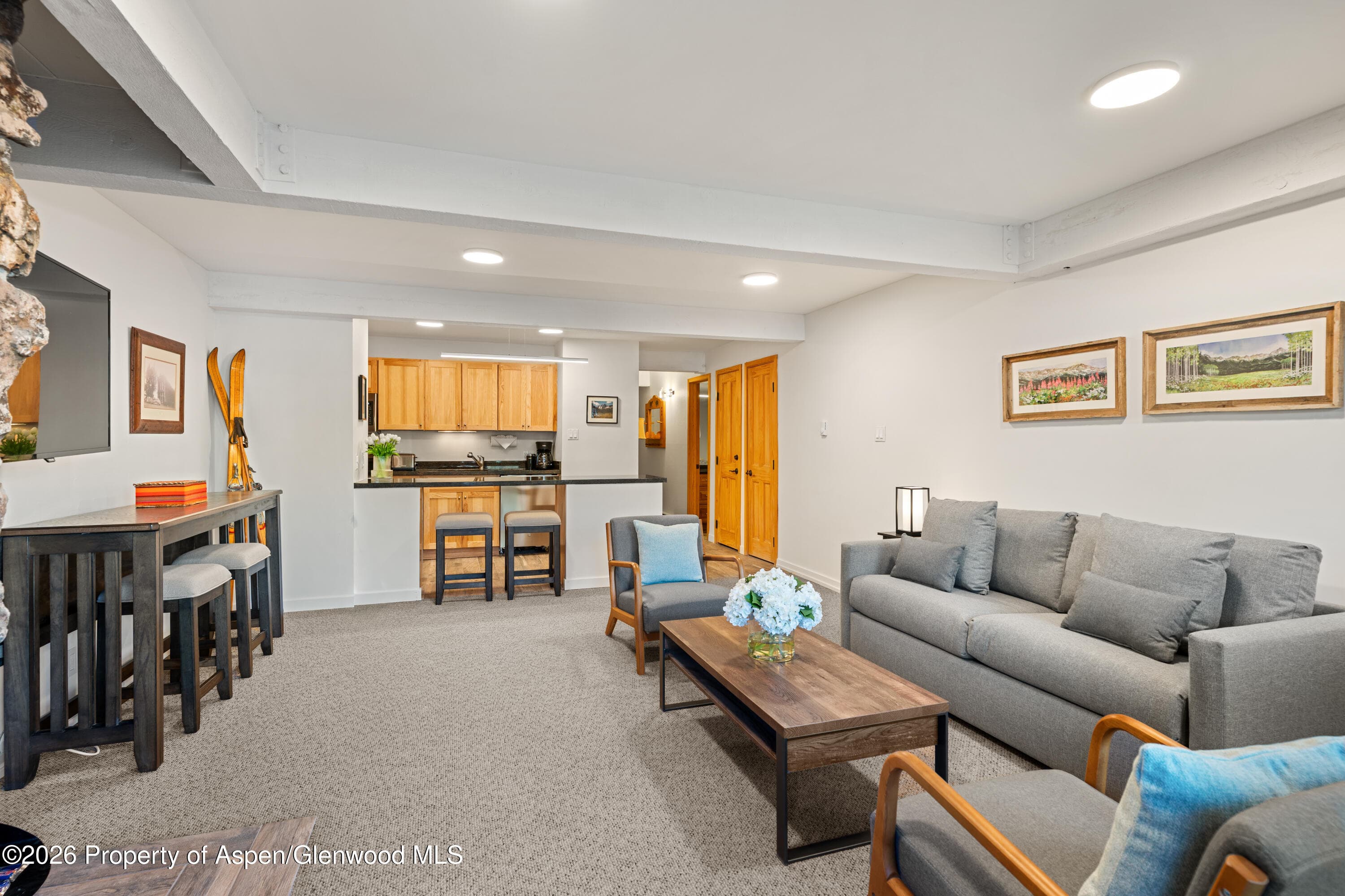 131 E Durant Avenue 104, Aspen, CO 81611 - Photo 6