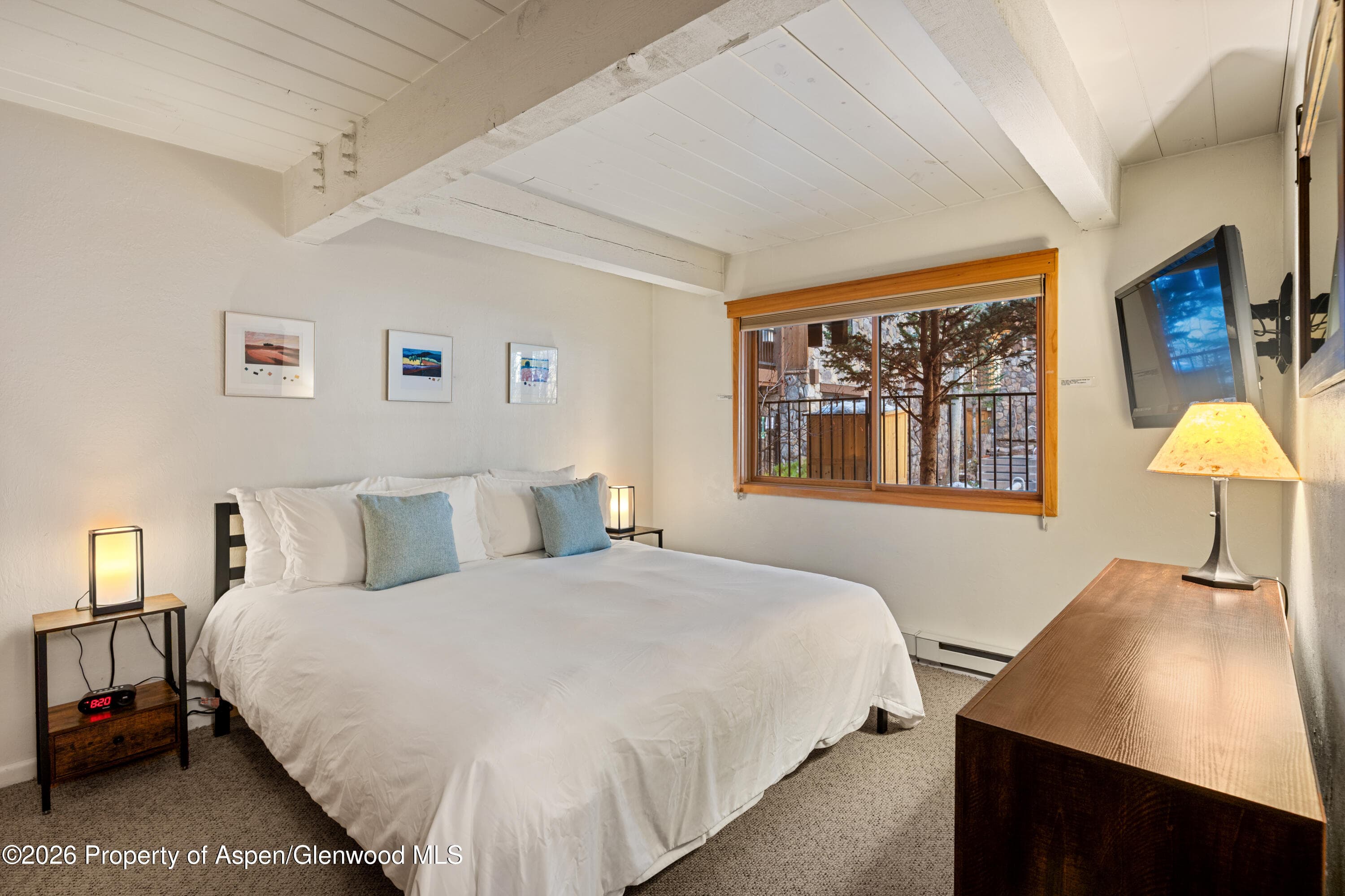 131 E Durant Avenue 104, Aspen, CO 81611 - Photo 7