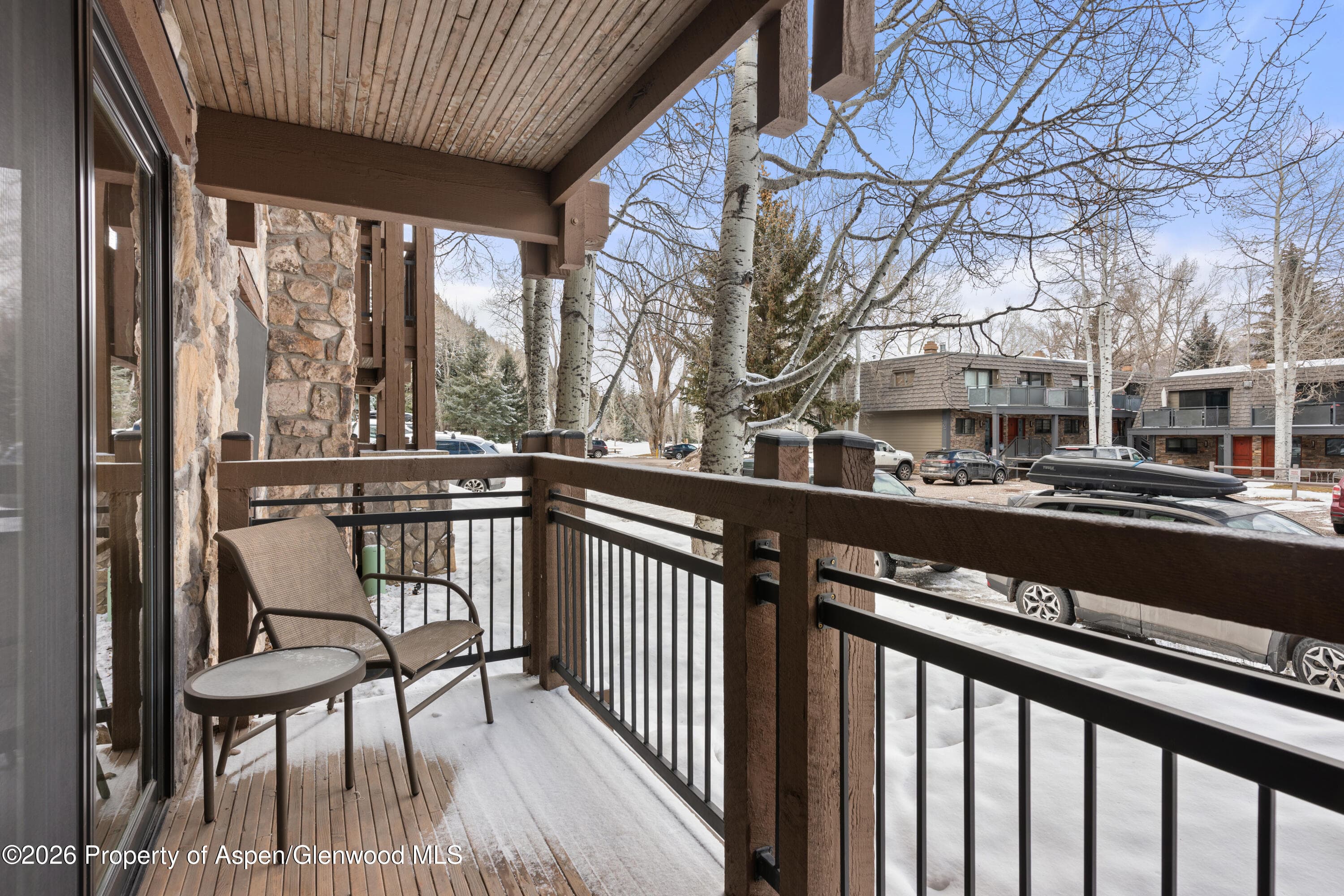 131 E Durant Avenue 104, Aspen, CO 81611 - Photo 9