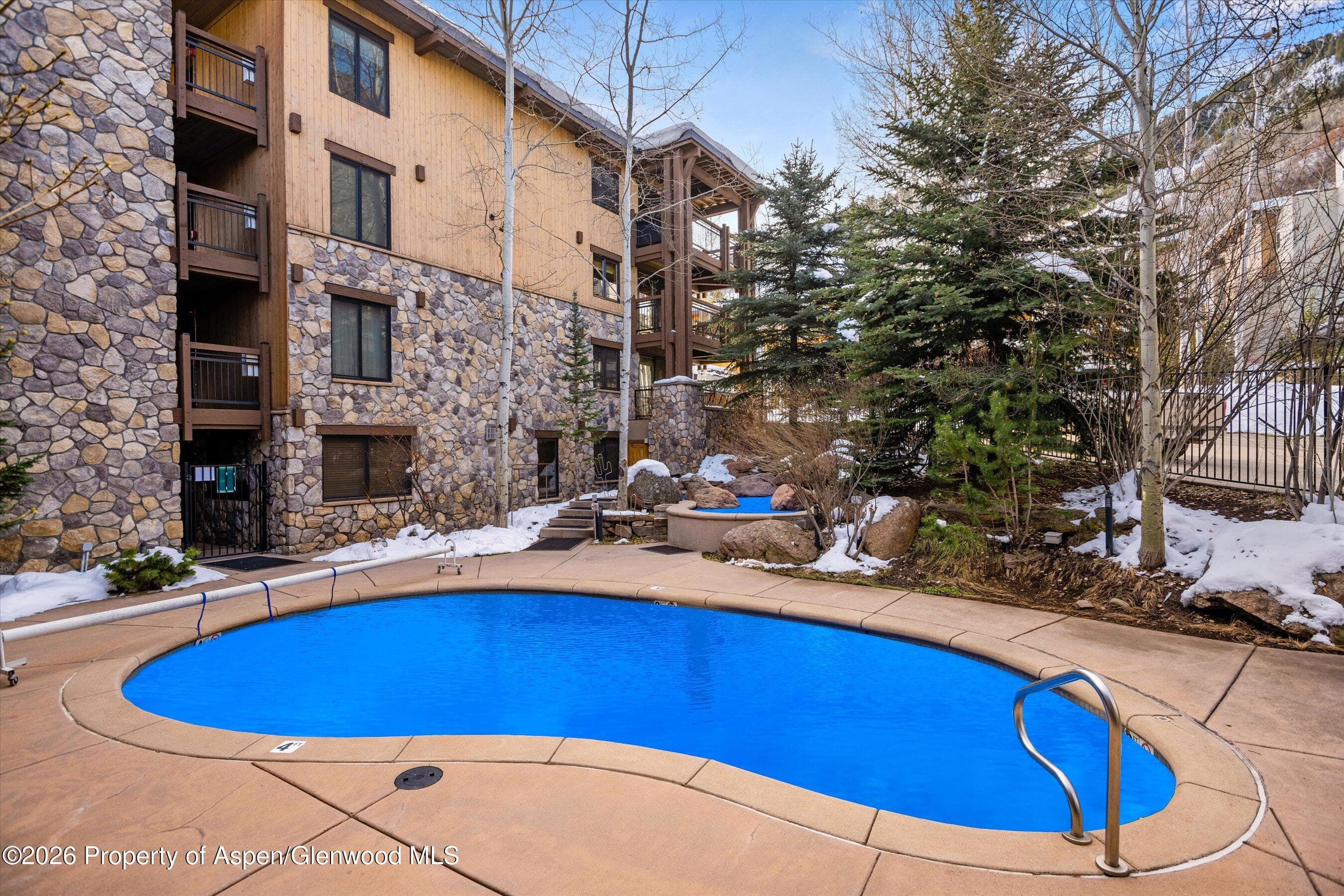 131 E Durant Avenue 104, Aspen, CO 81611 - Photo 10