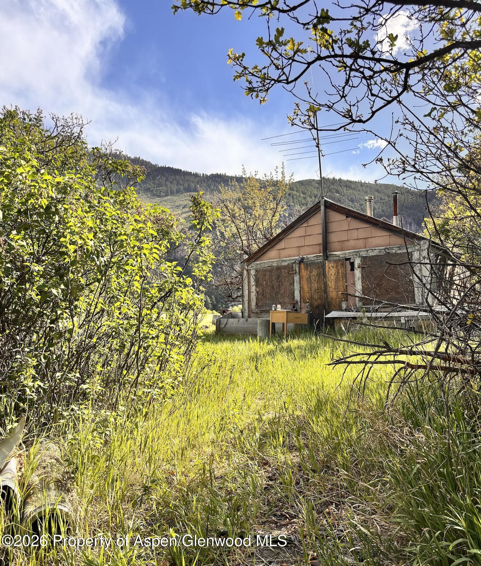 1312 County Road 129, Glenwood Springs, CO 81601 - Photo 2