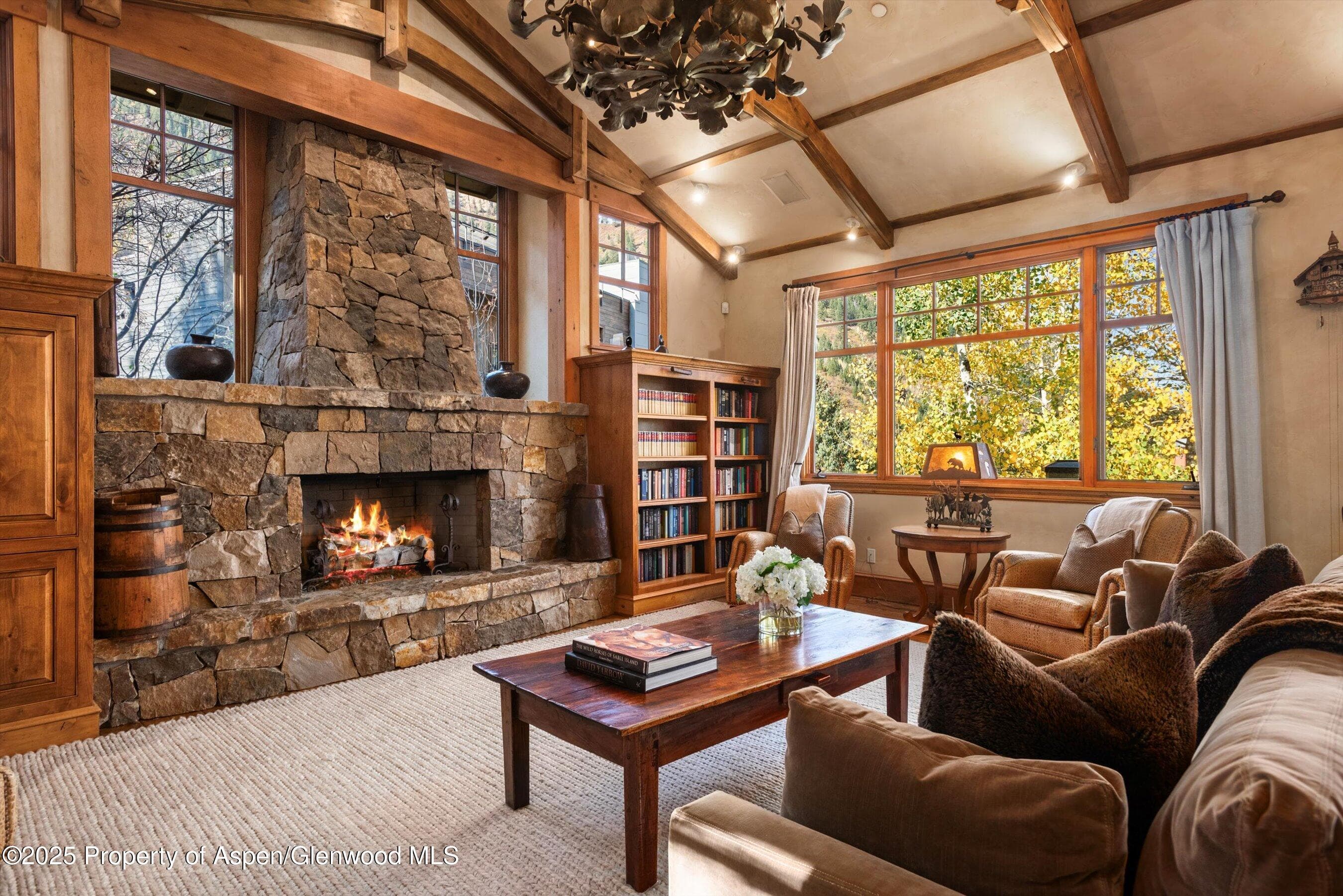 660 S Galena Street, Aspen, CO 81611 - Photo 3