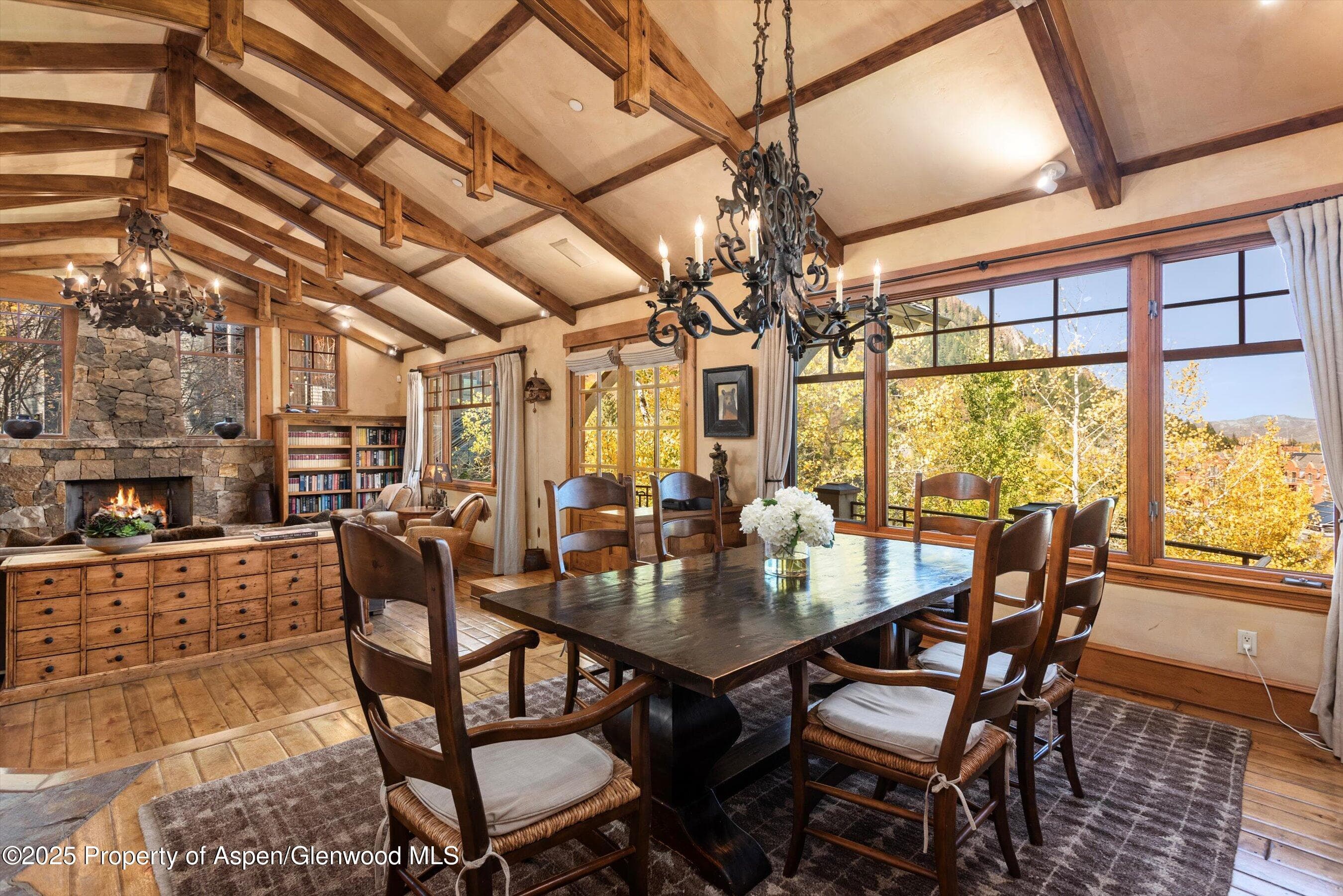 660 S Galena Street, Aspen, CO 81611 - Photo 4