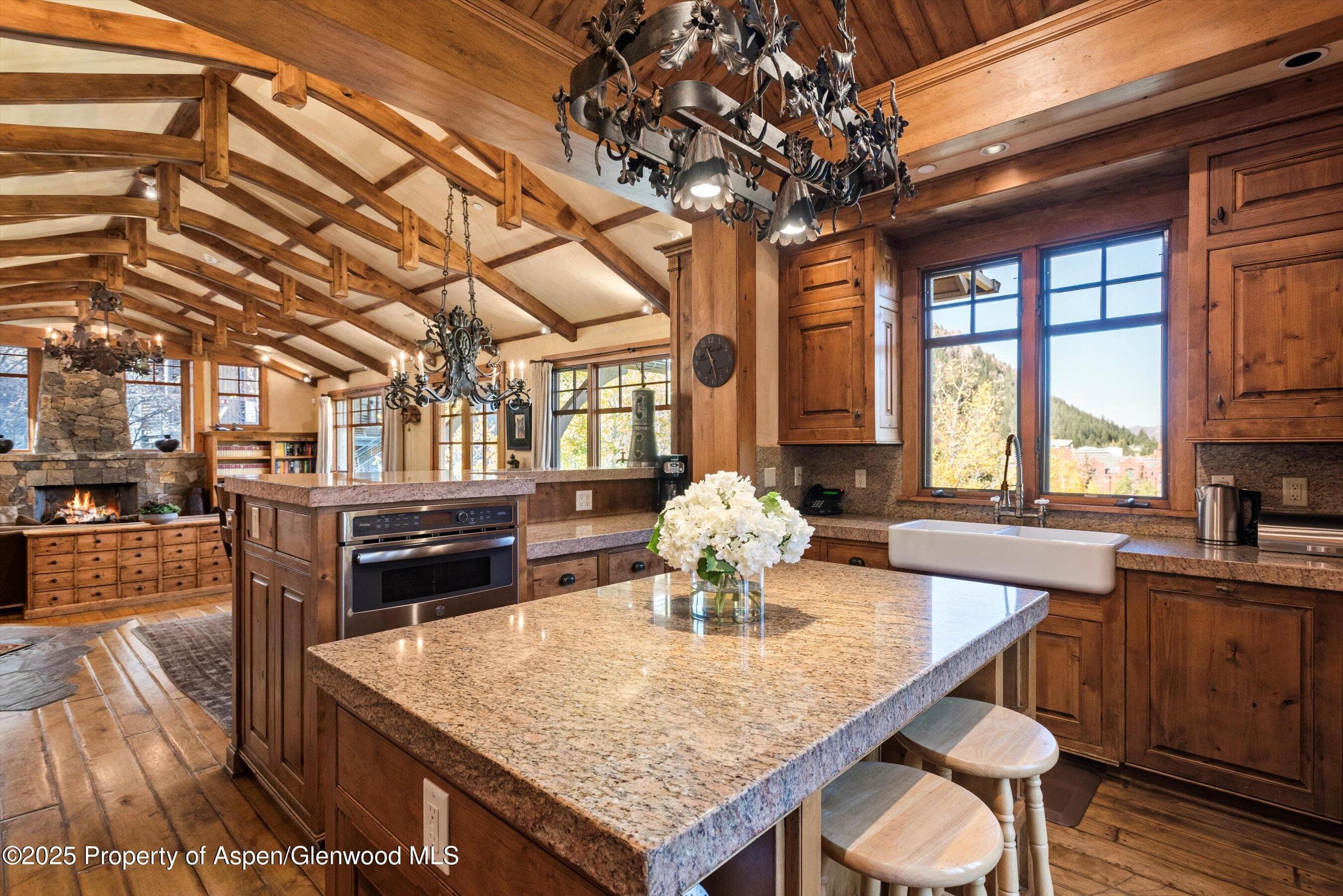 660 S Galena Street, Aspen, CO 81611 - Photo 6