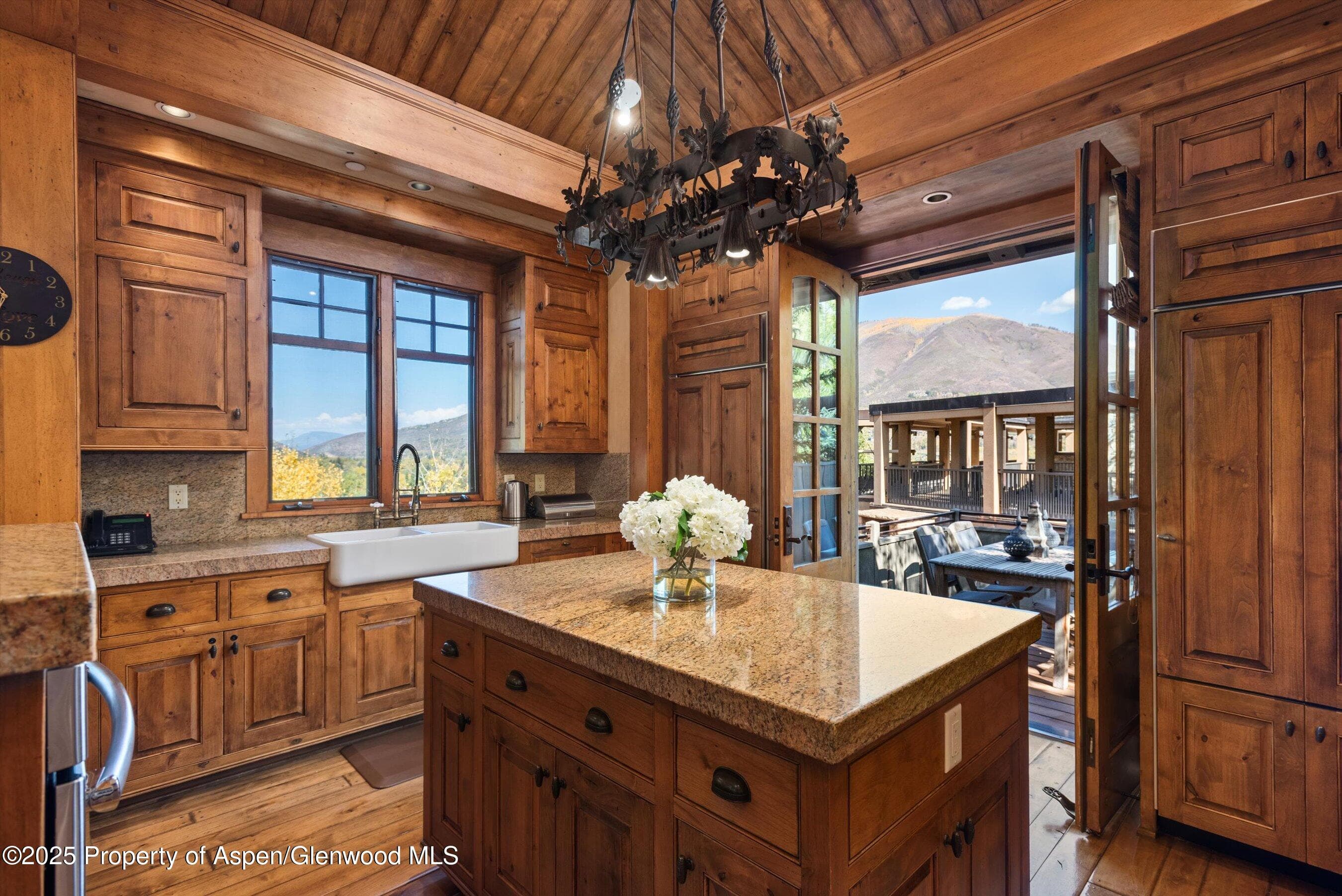 660 S Galena Street, Aspen, CO 81611 - Photo 7