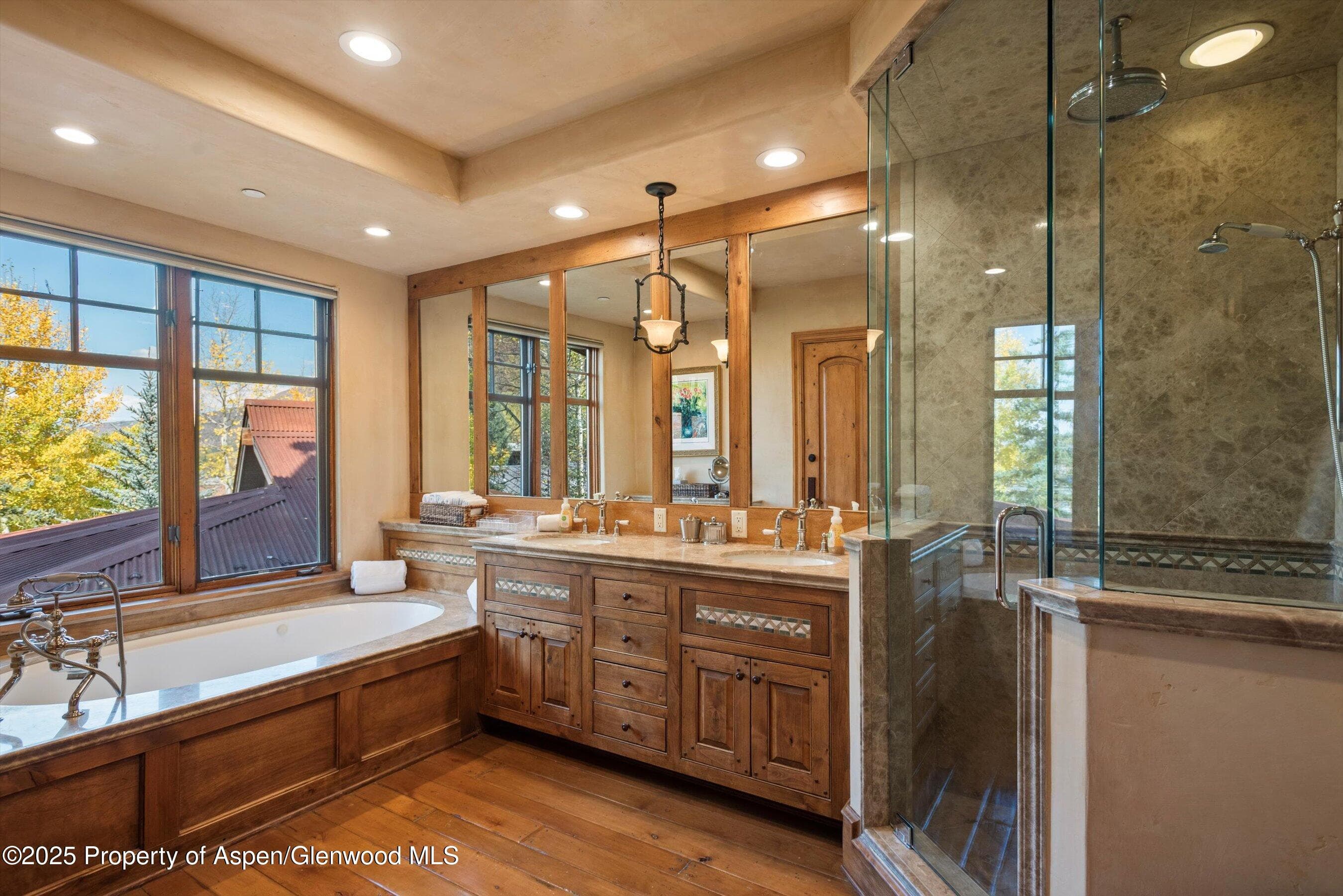 660 S Galena Street, Aspen, CO 81611 - Photo 9