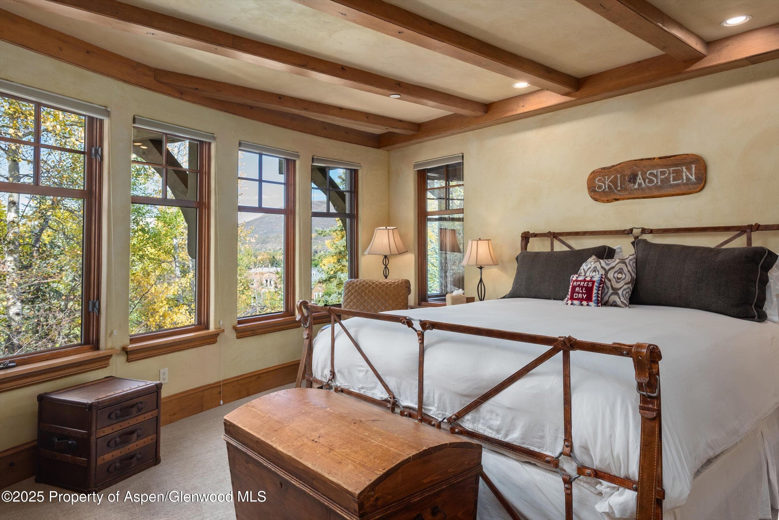 660 S Galena Street, Aspen, CO 81611 - Photo 10