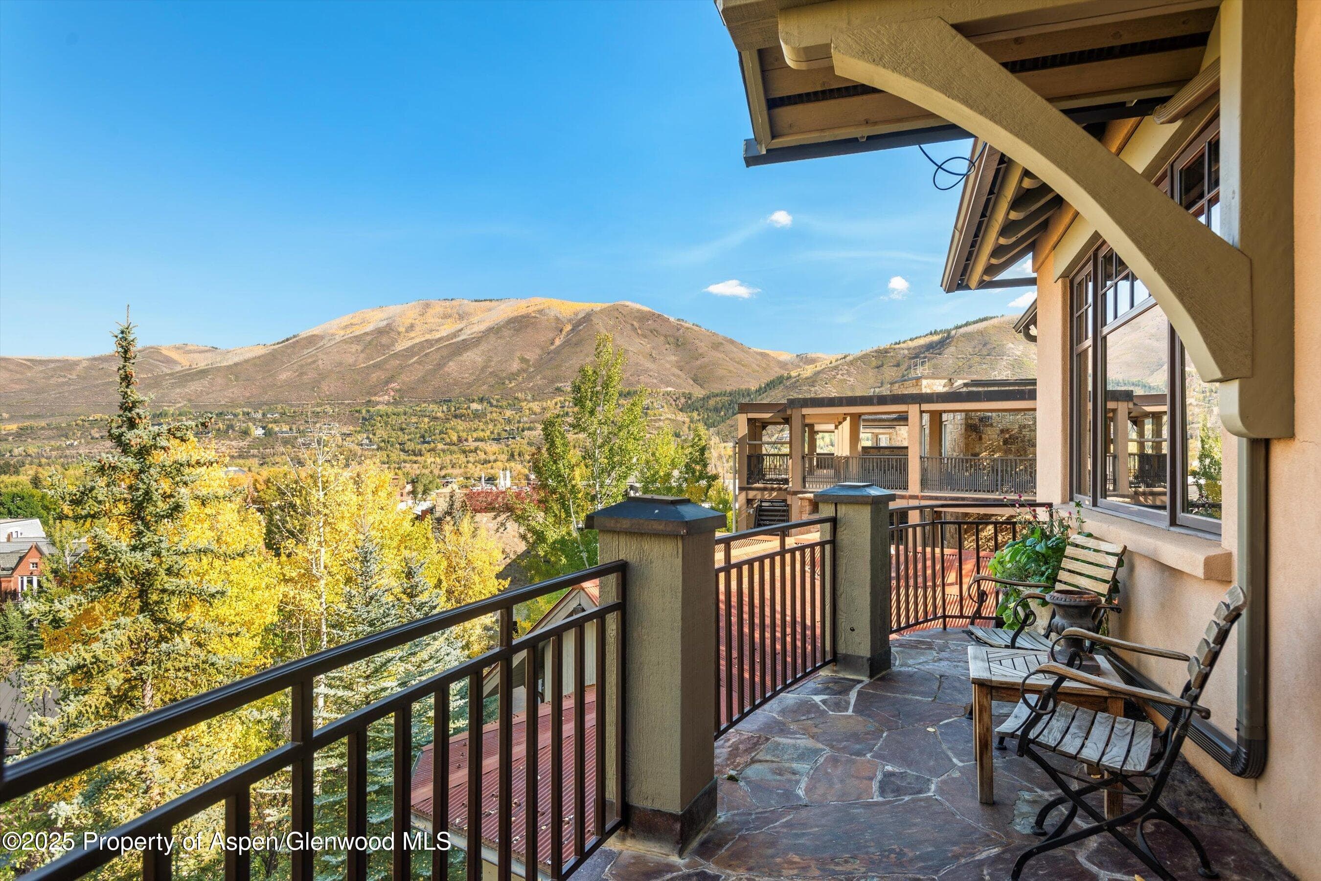 660 S Galena Street, Aspen, CO 81611 - Photo 16