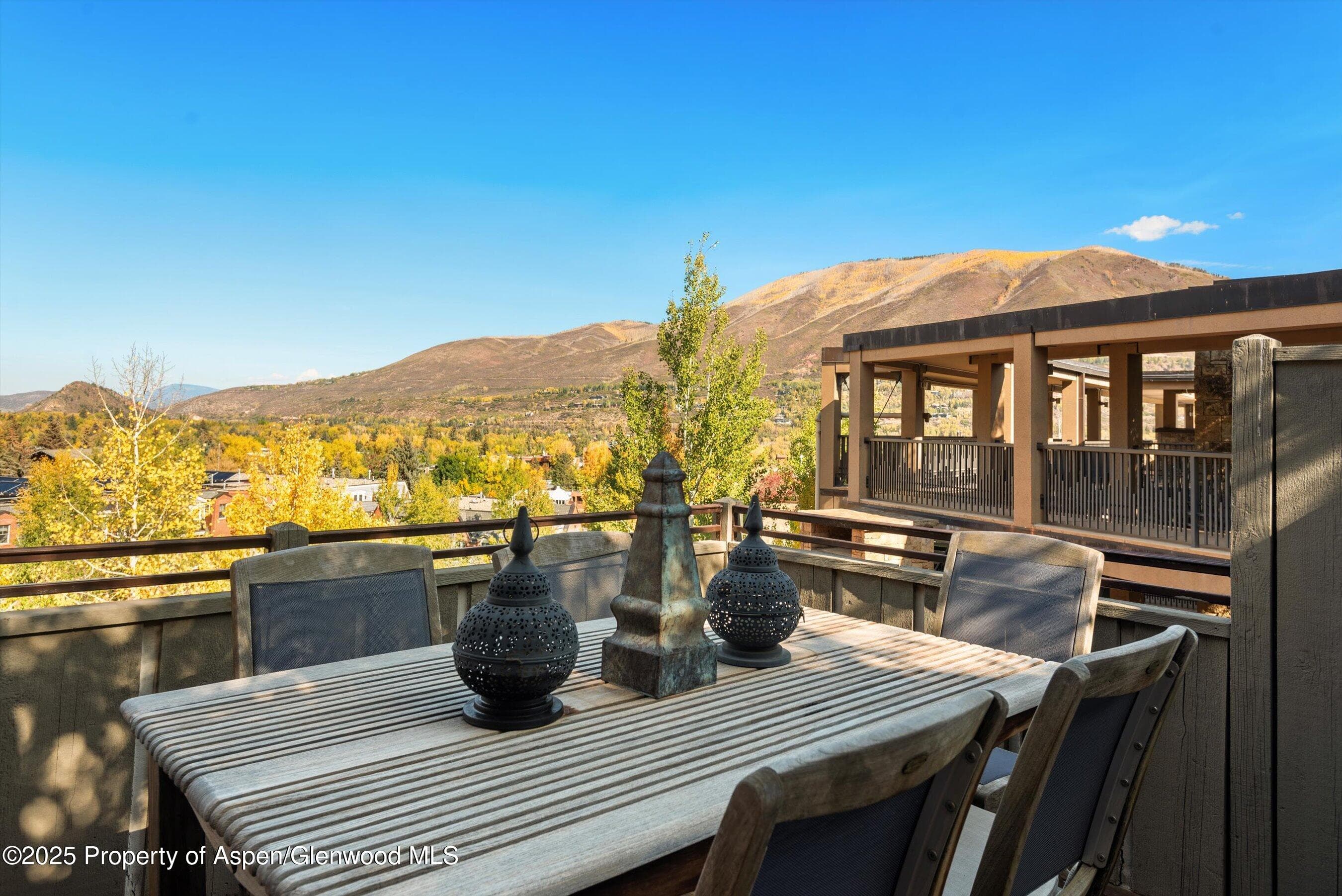 660 S Galena Street, Aspen, CO 81611 - Photo 21