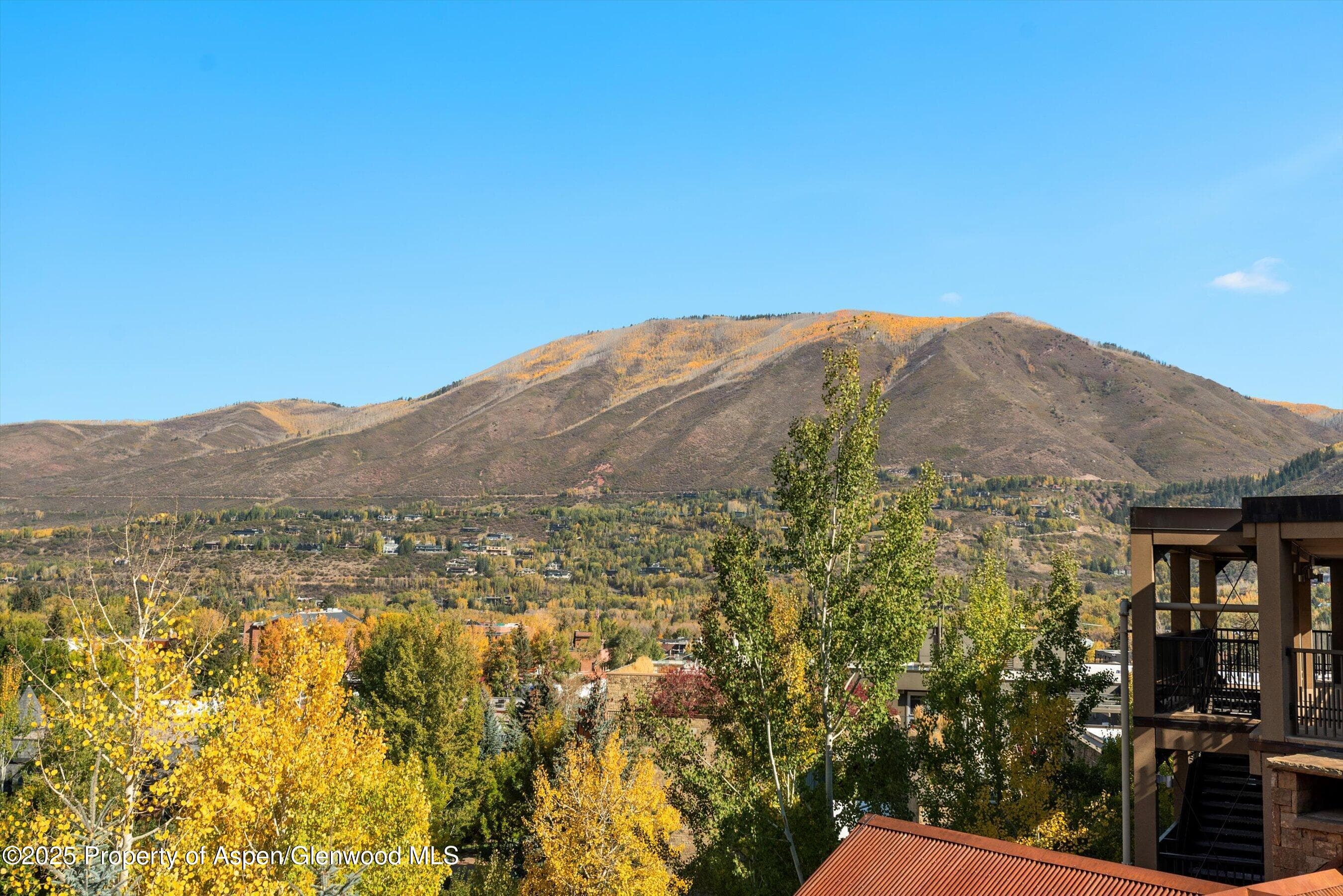 660 S Galena Street, Aspen, CO 81611 - Photo 23
