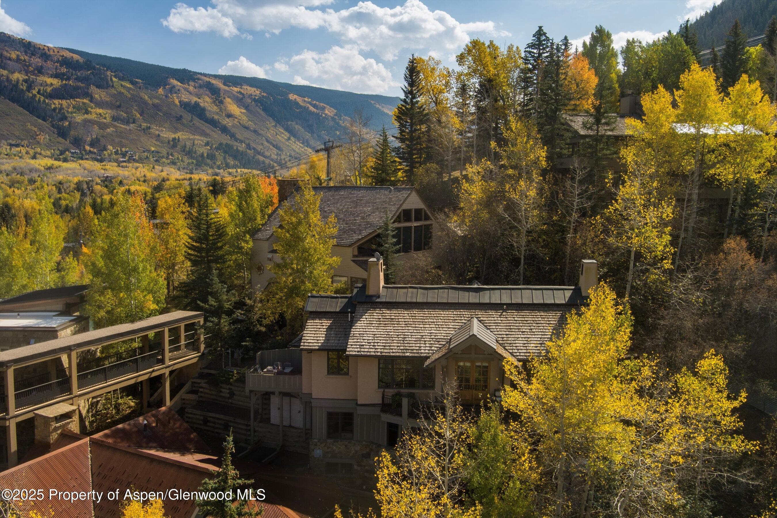 660 S Galena Street, Aspen, CO 81611 - Photo 24
