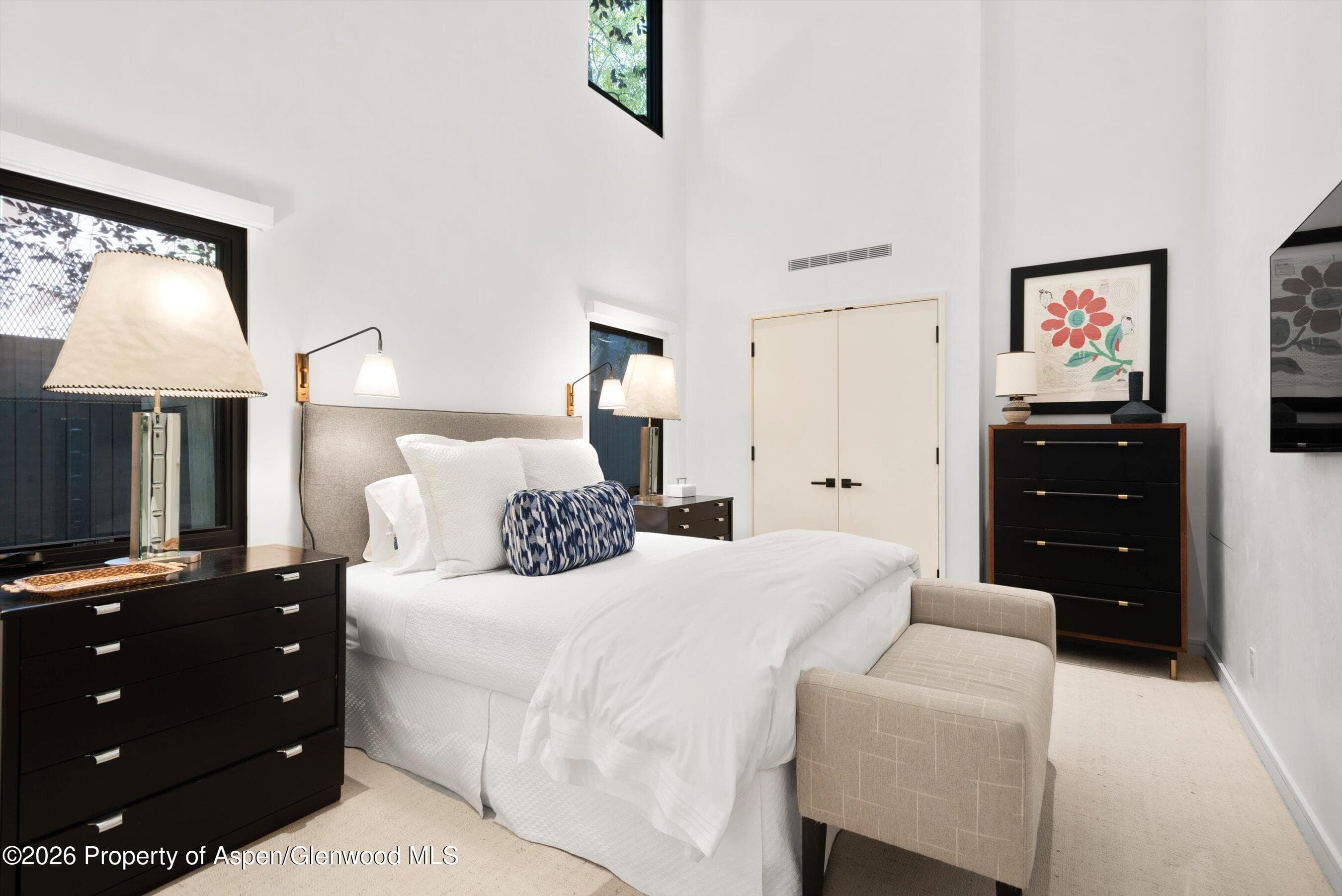 520 N Eighth Street, Aspen, CO 81611 - Photo 13