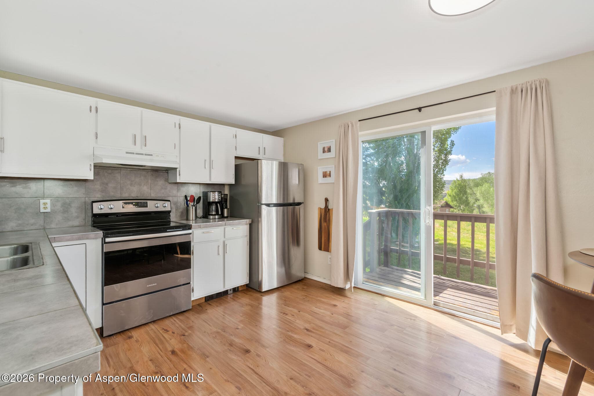 250 S Harvest Drive, Hayden, CO 81639 - Photo 7