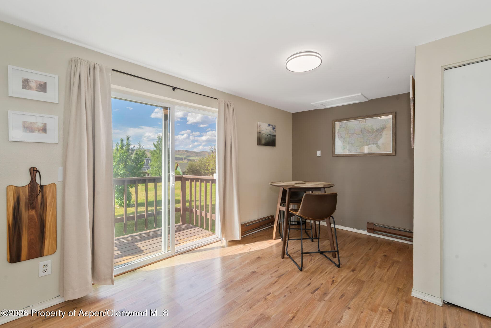 250 S Harvest Drive, Hayden, CO 81639 - Photo 10