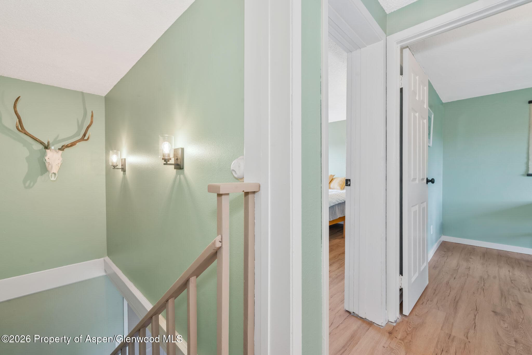 250 S Harvest Drive, Hayden, CO 81639 - Photo 12