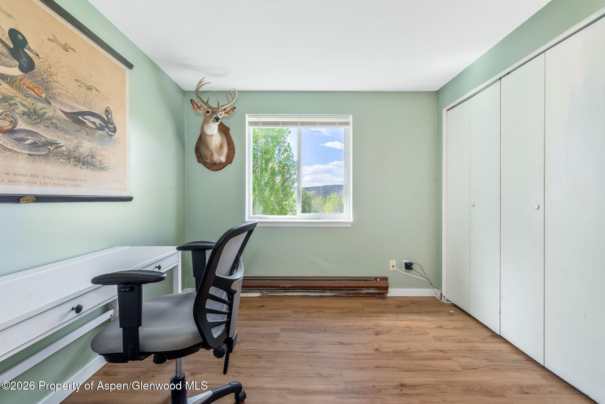 250 S Harvest Drive, Hayden, CO 81639 - Photo 25