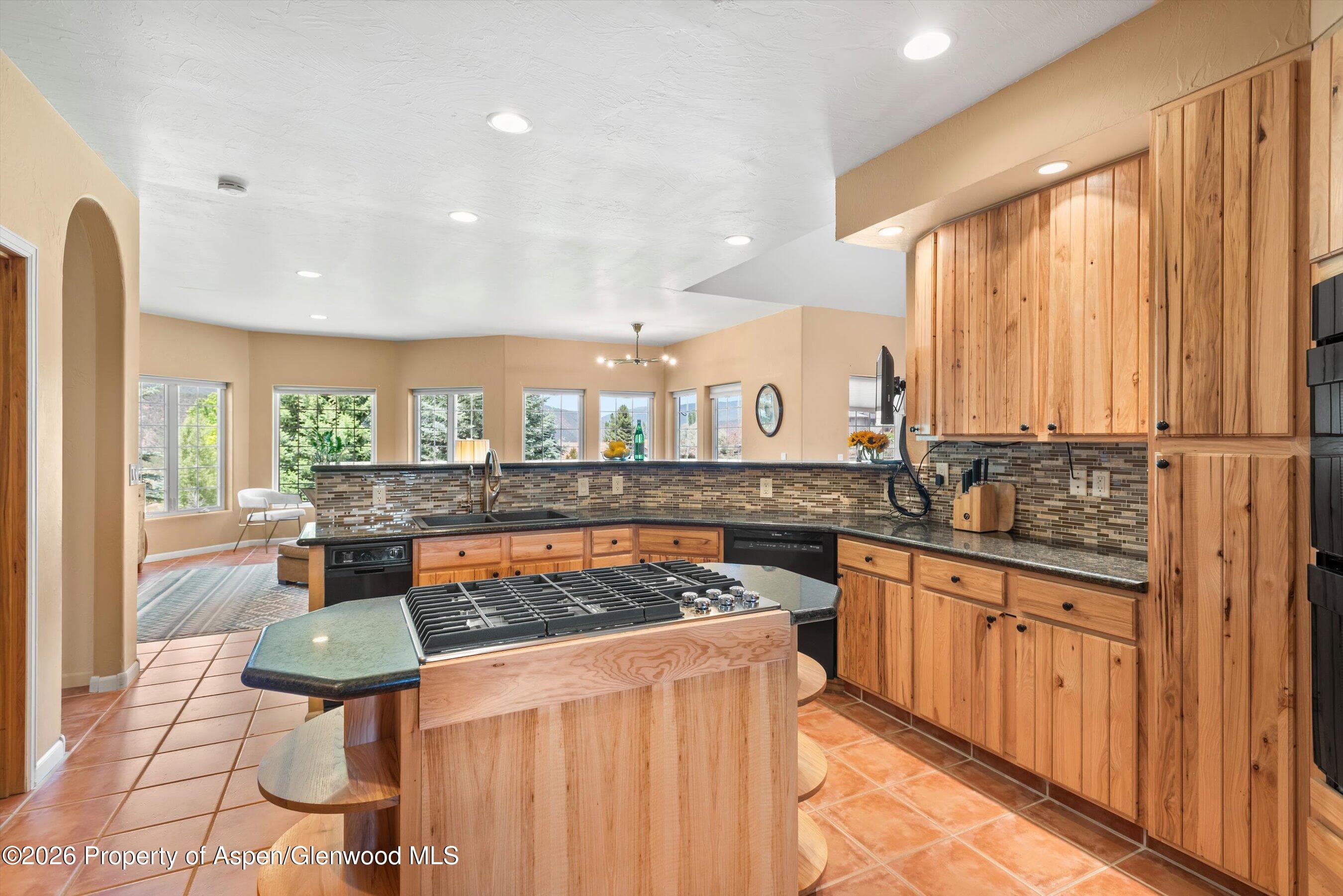 156 Dolores Circle, Glenwood Springs, CO 81601 - Photo 13