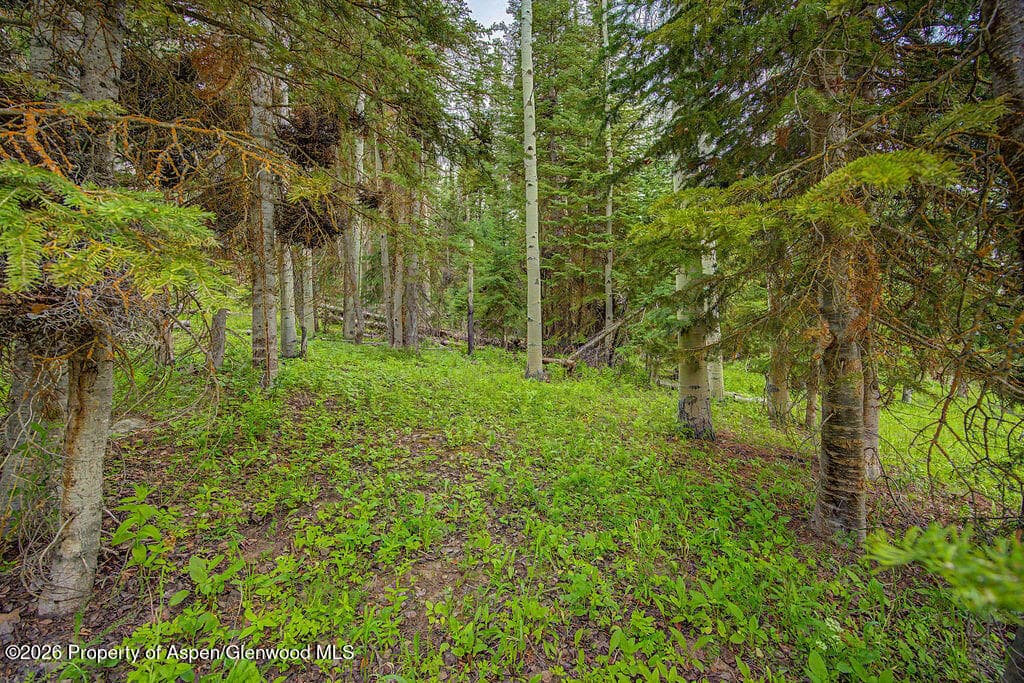 972 Timberlane Drive Lot#115, Craig, CO 81625 - Photo 34