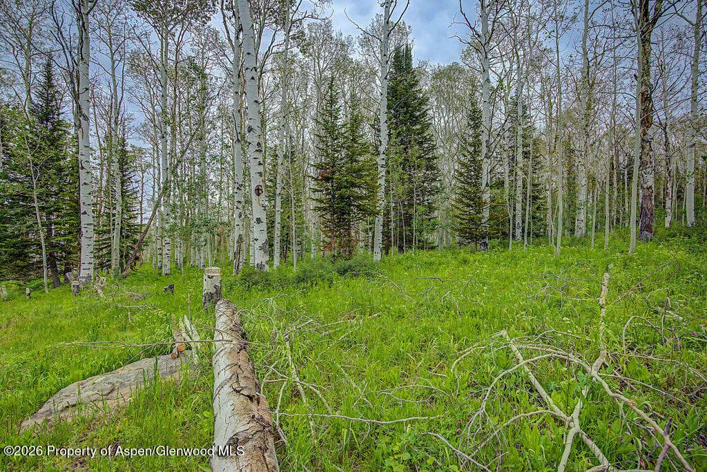 972 Timberlane Drive Lot#115, Craig, CO 81625 - Photo 35