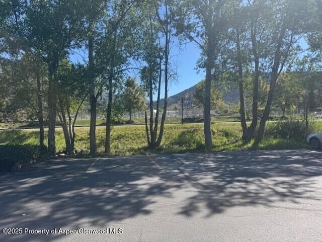 23286 Two Rivers Road, Basalt, CO 81621 - Photo 9